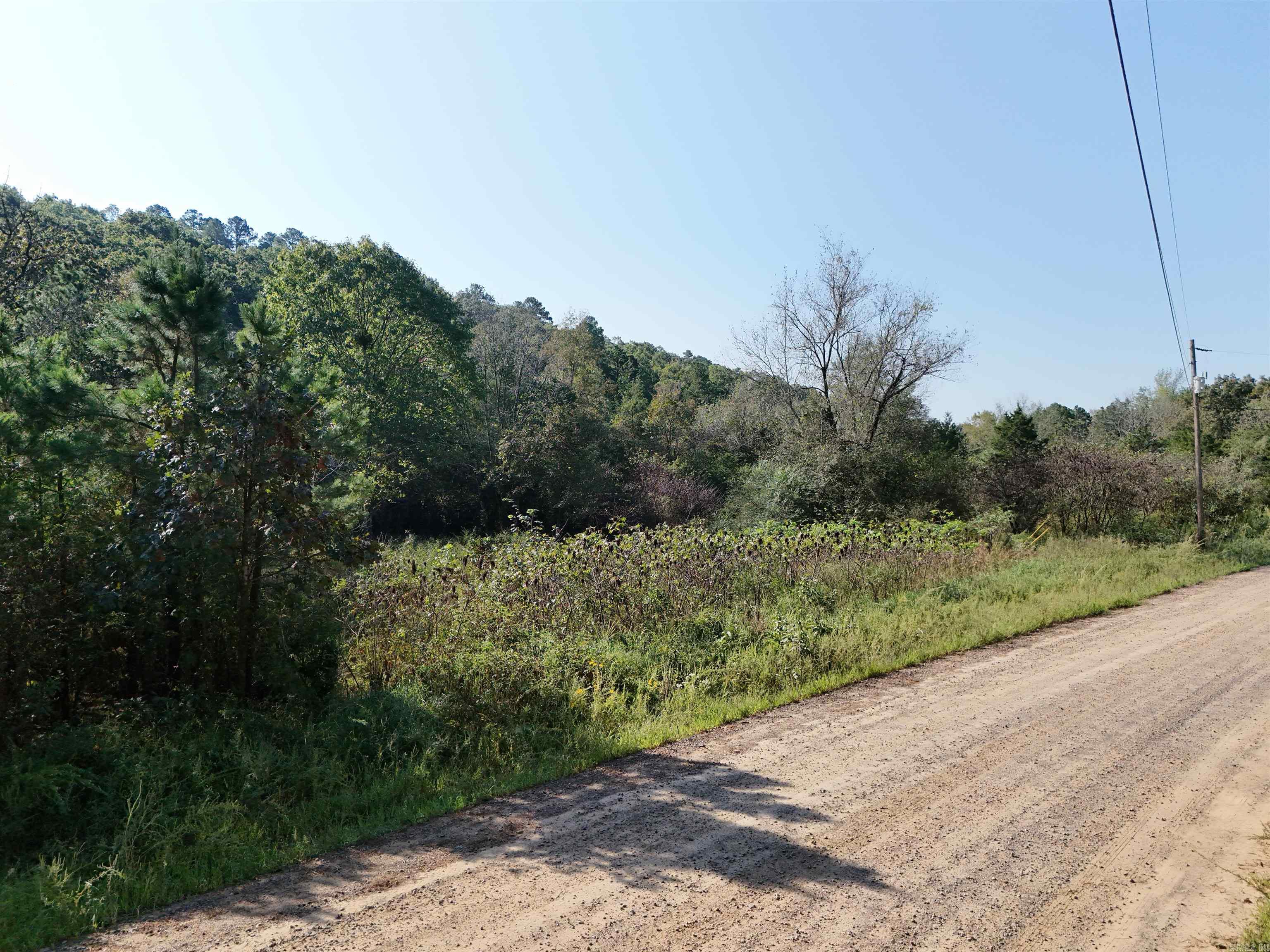 00 Long Branch  Bee Branch, AR