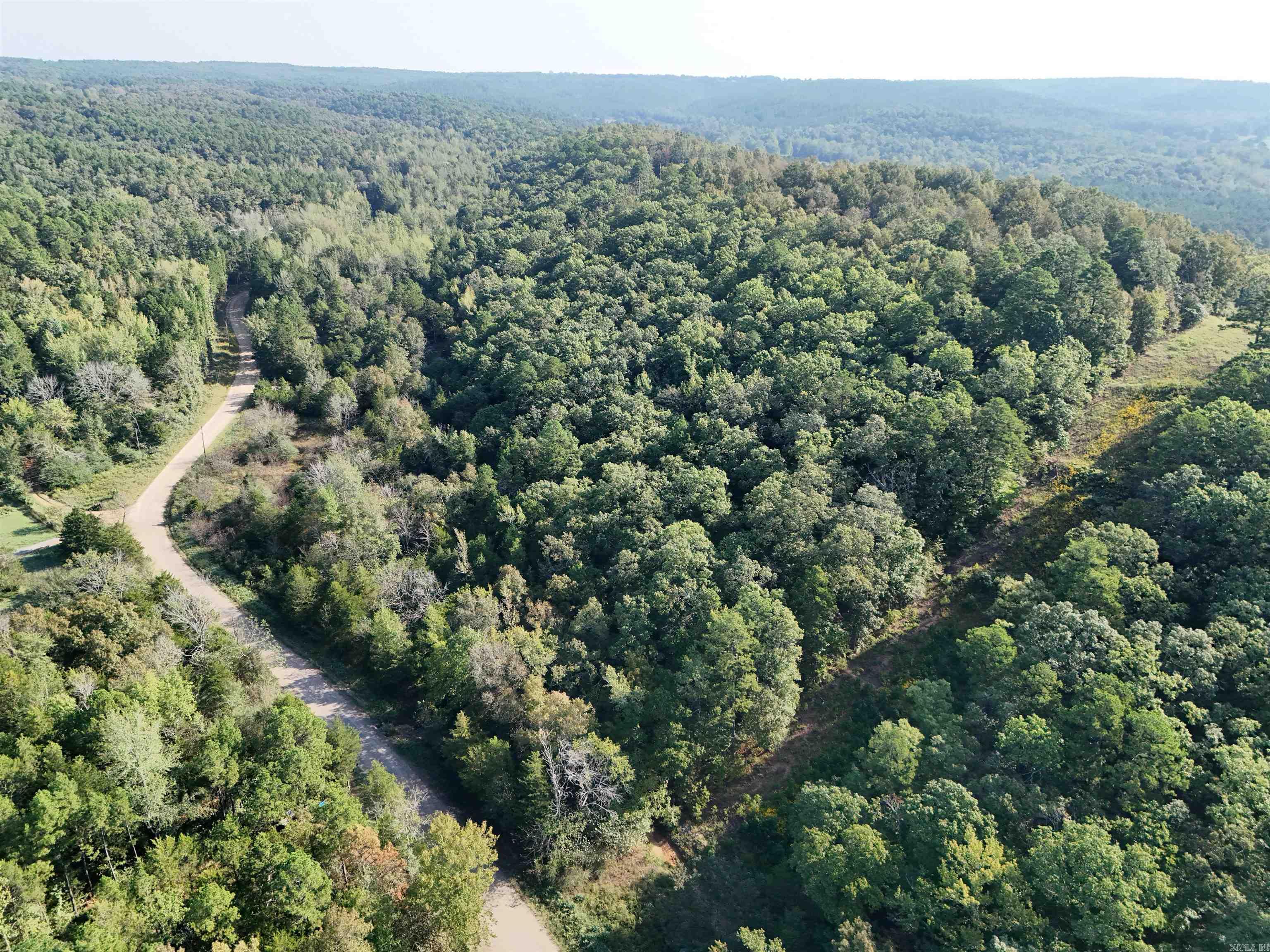 00 Long Branch  Bee Branch, AR