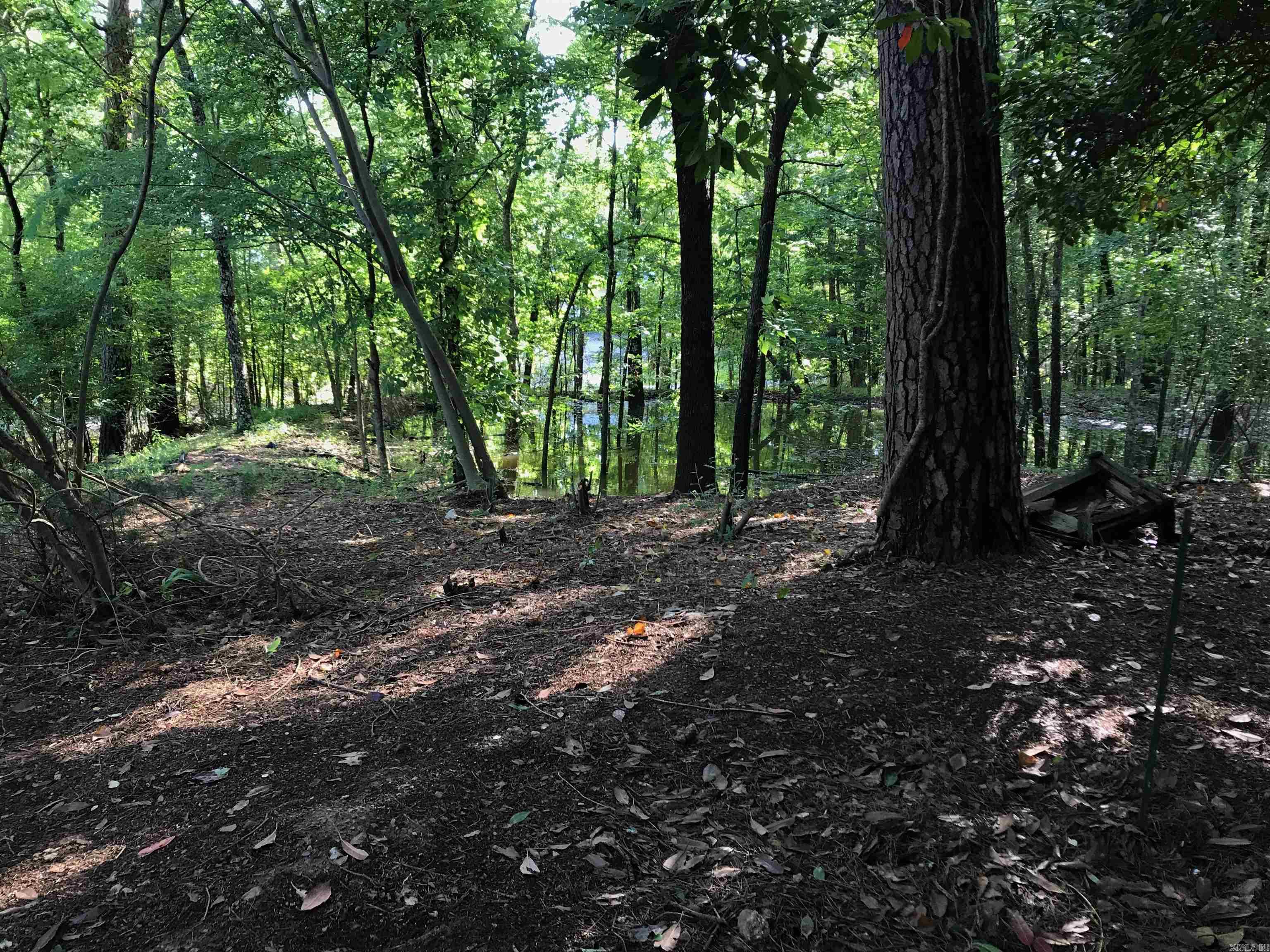 000 Rector Heights Charlon Hot Springs, AR