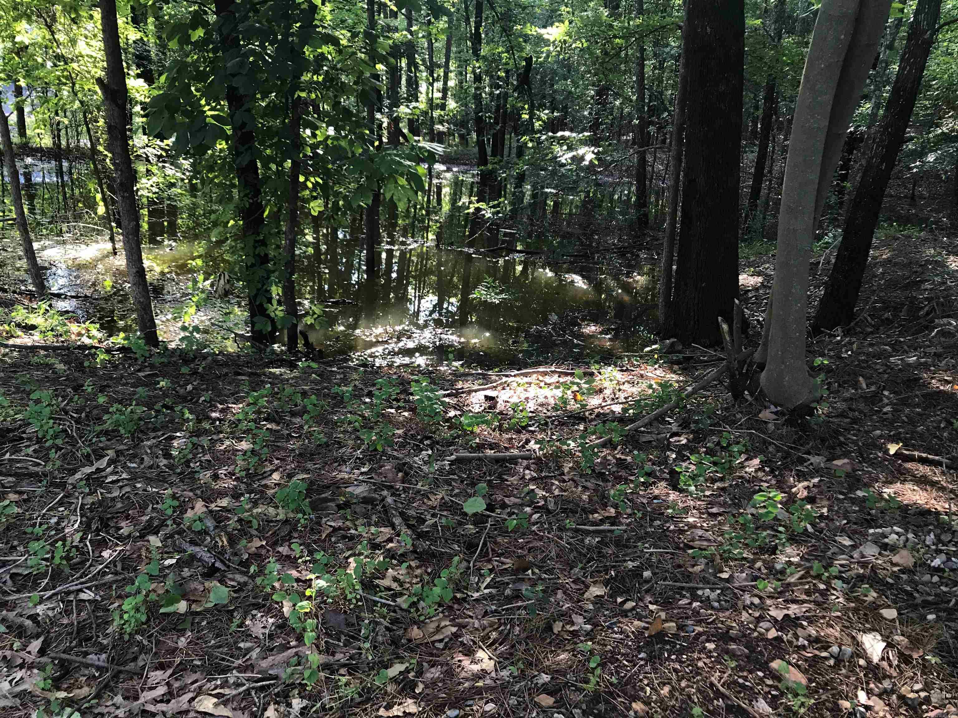 000 Rector Heights Charlon Hot Springs, AR