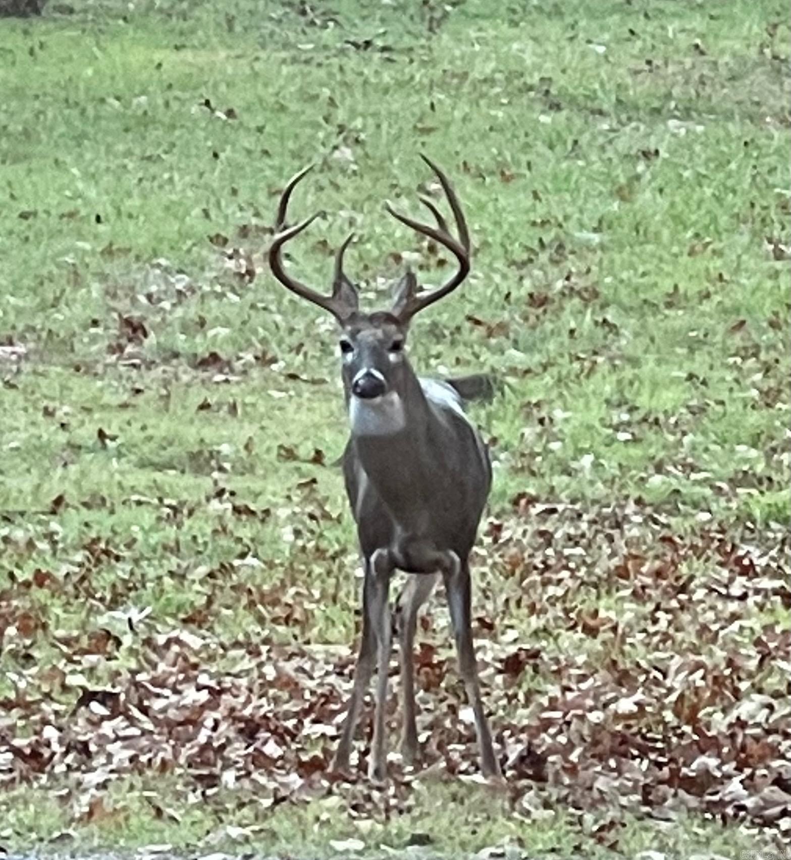 000 Rector Heights Charlon Hot Springs, AR