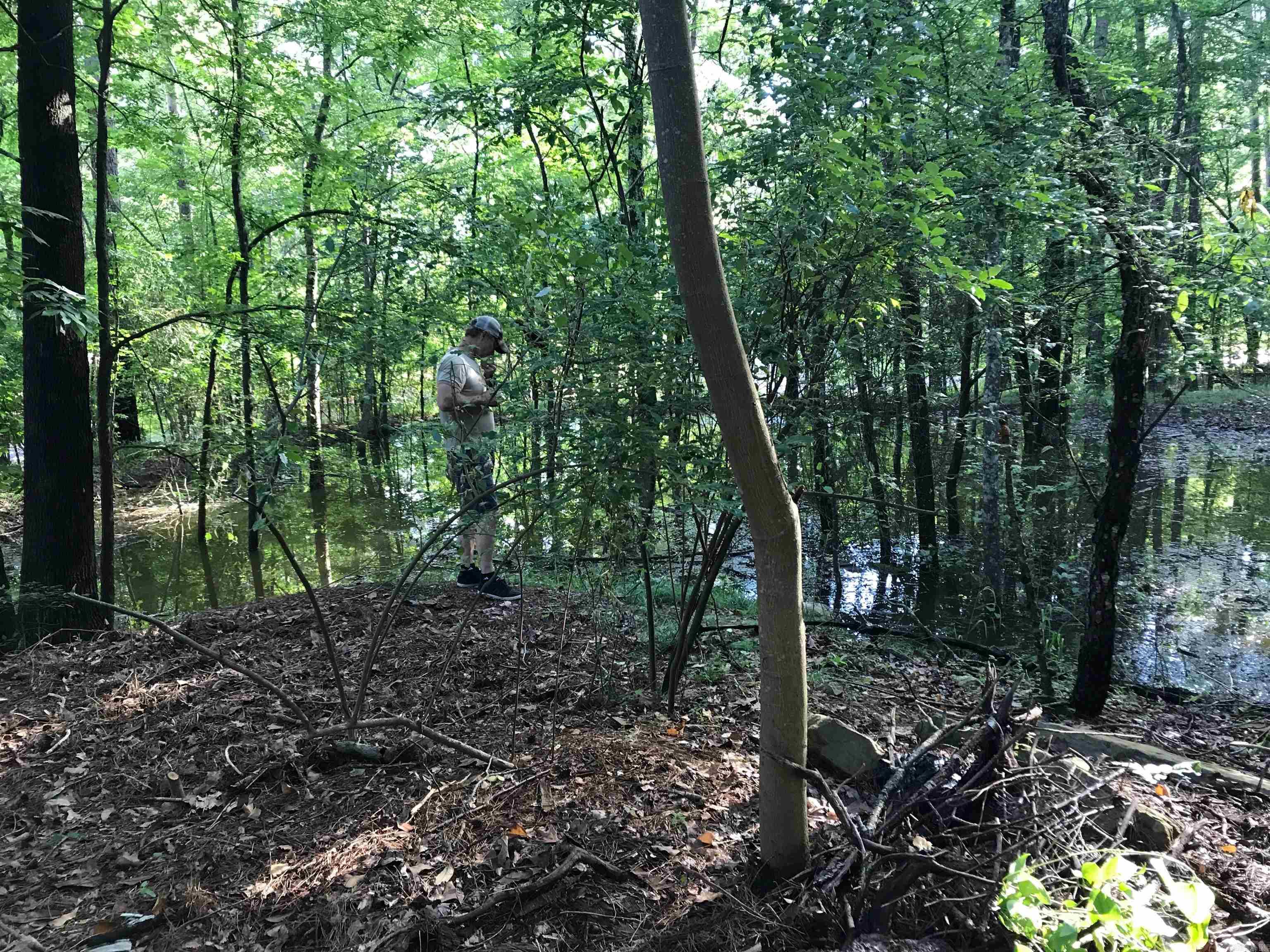 000 Rector Heights Charlon Hot Springs, AR