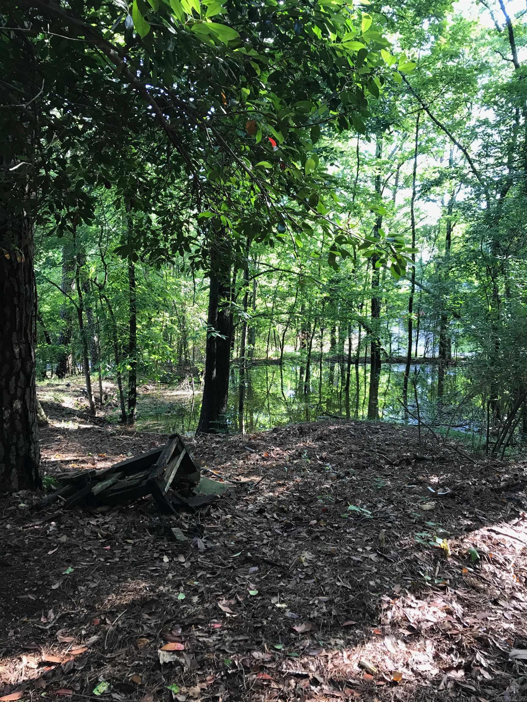 000 Rector Heights Charlon Hot Springs, AR