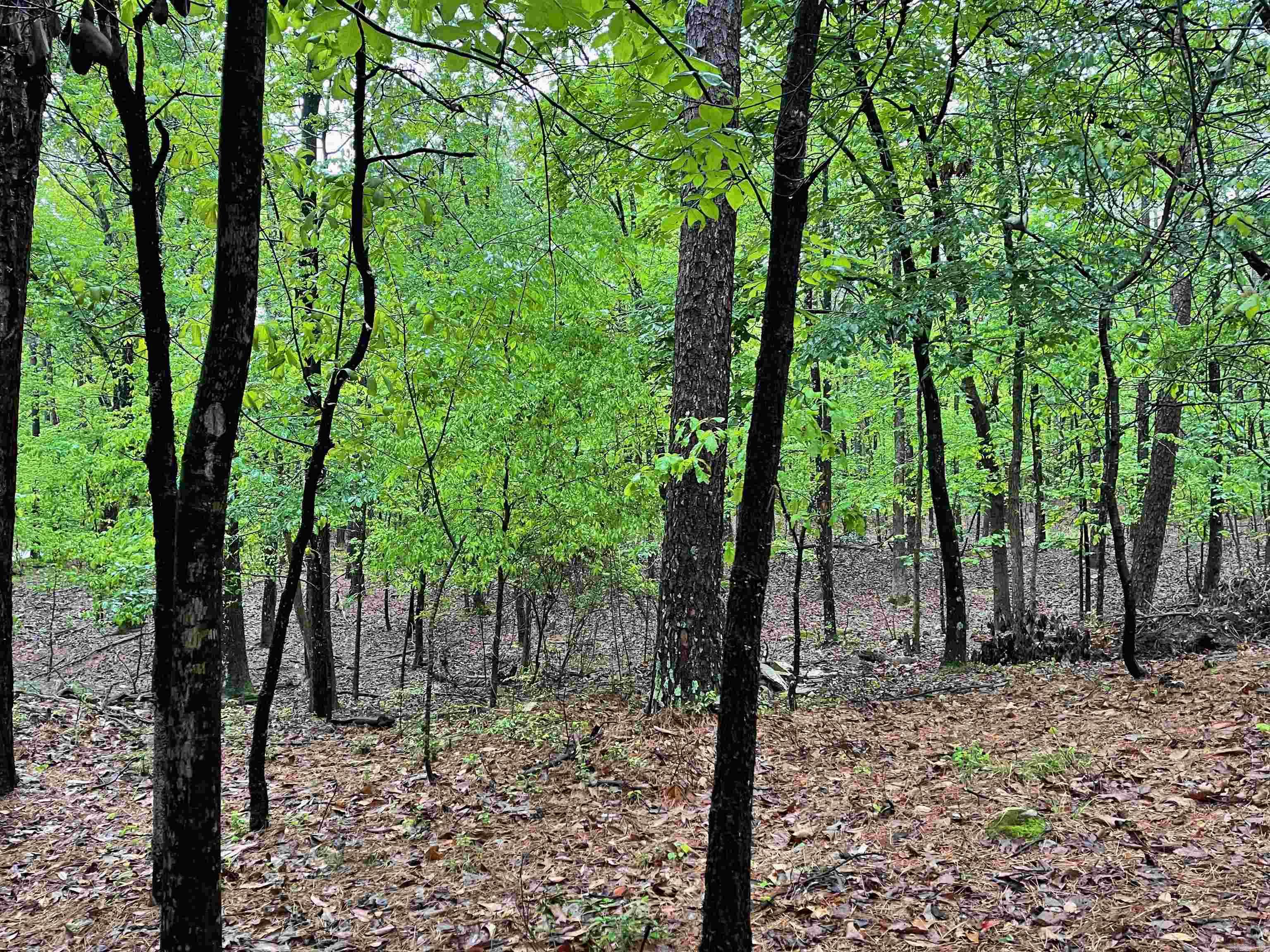 000 Rector Heights Charlon Hot Springs, AR