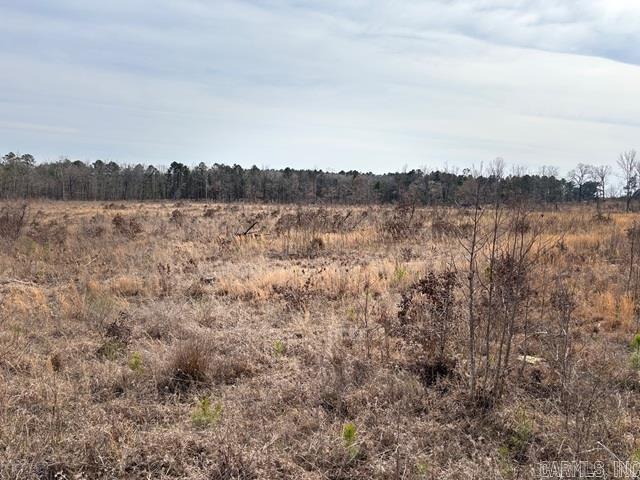 000 Red Springs  Gurdon, AR