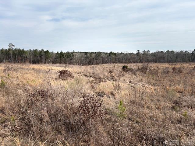 000 Red Springs  Gurdon, AR