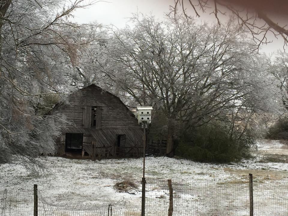 3284 Finch  Bismarck, AR