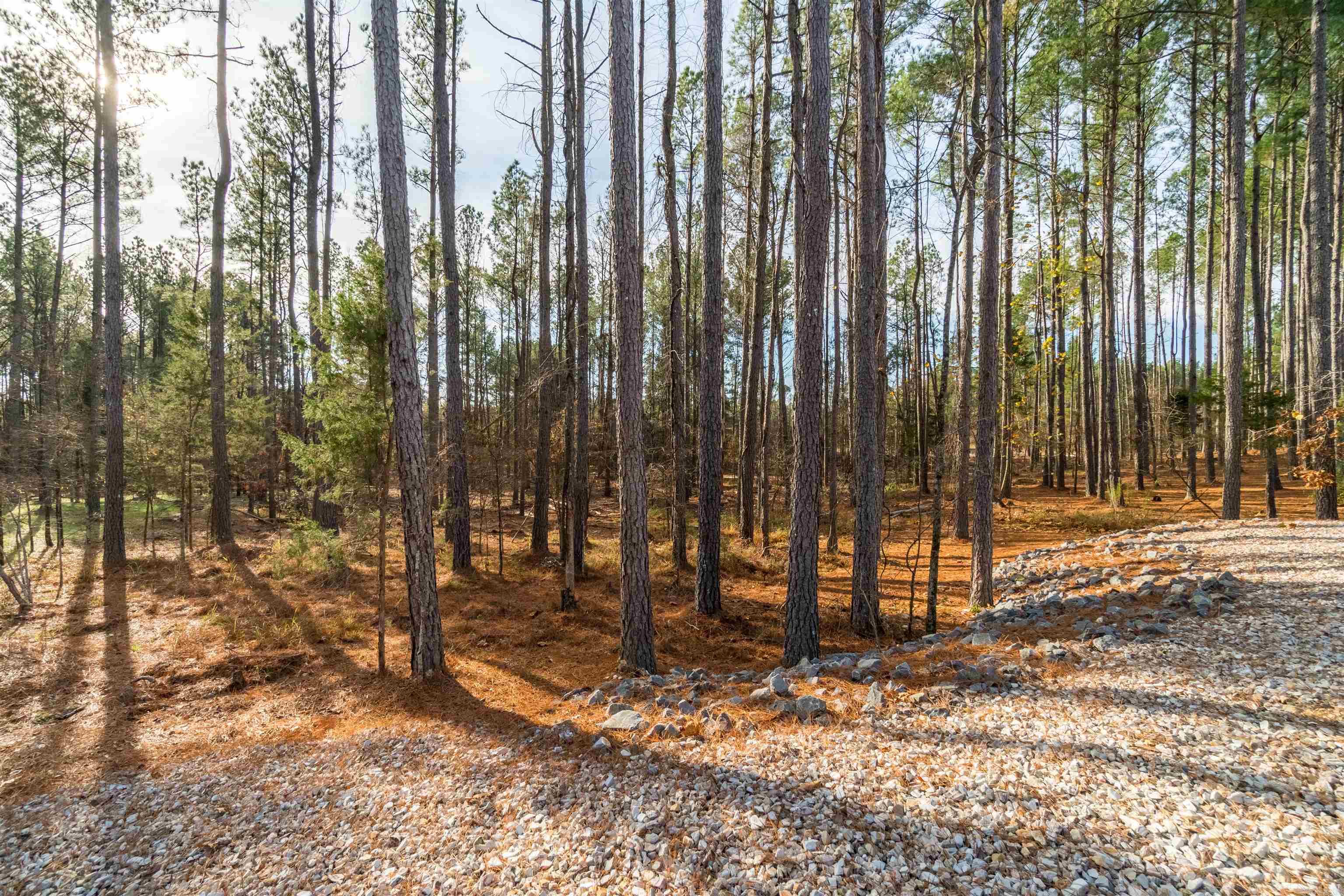 34 Victoria  Hot Springs Village, AR