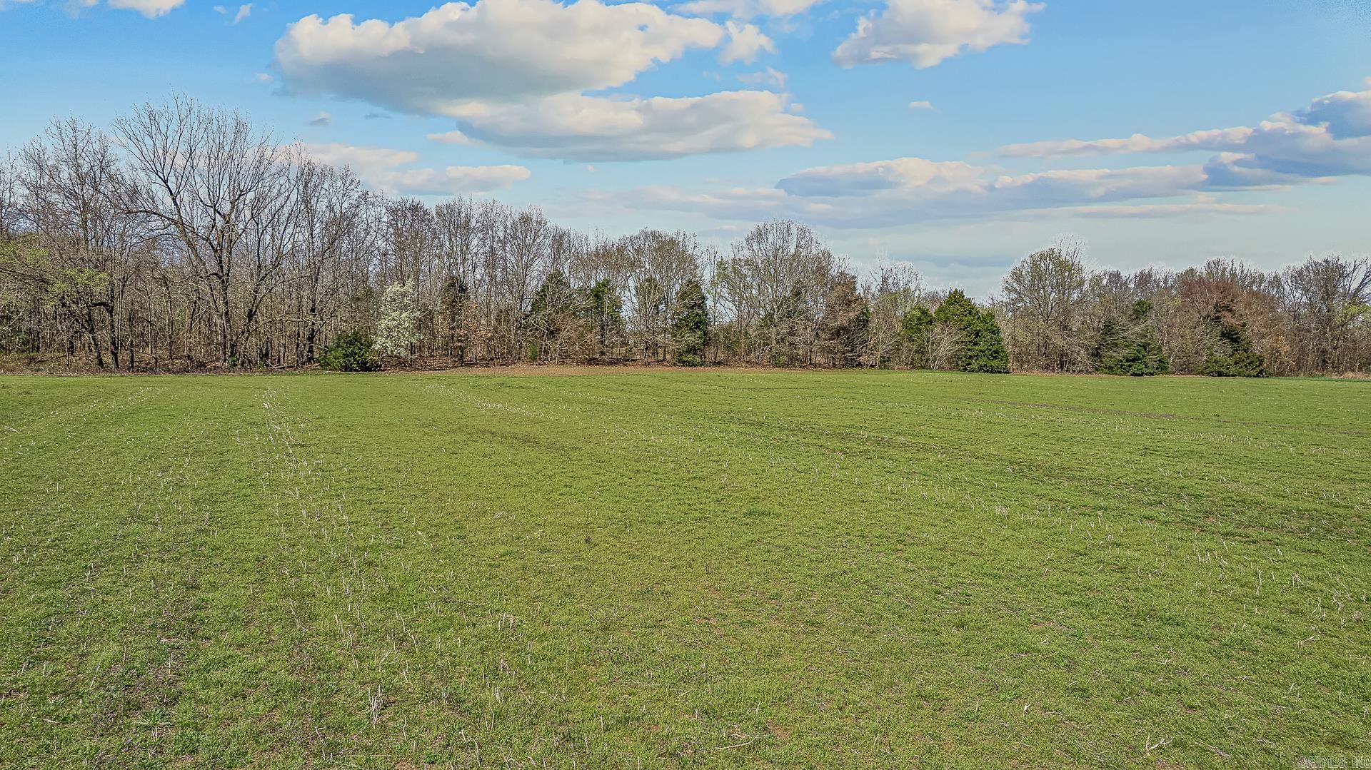 53.19 Acres Highway 412 Bypass  Paragould, AR
