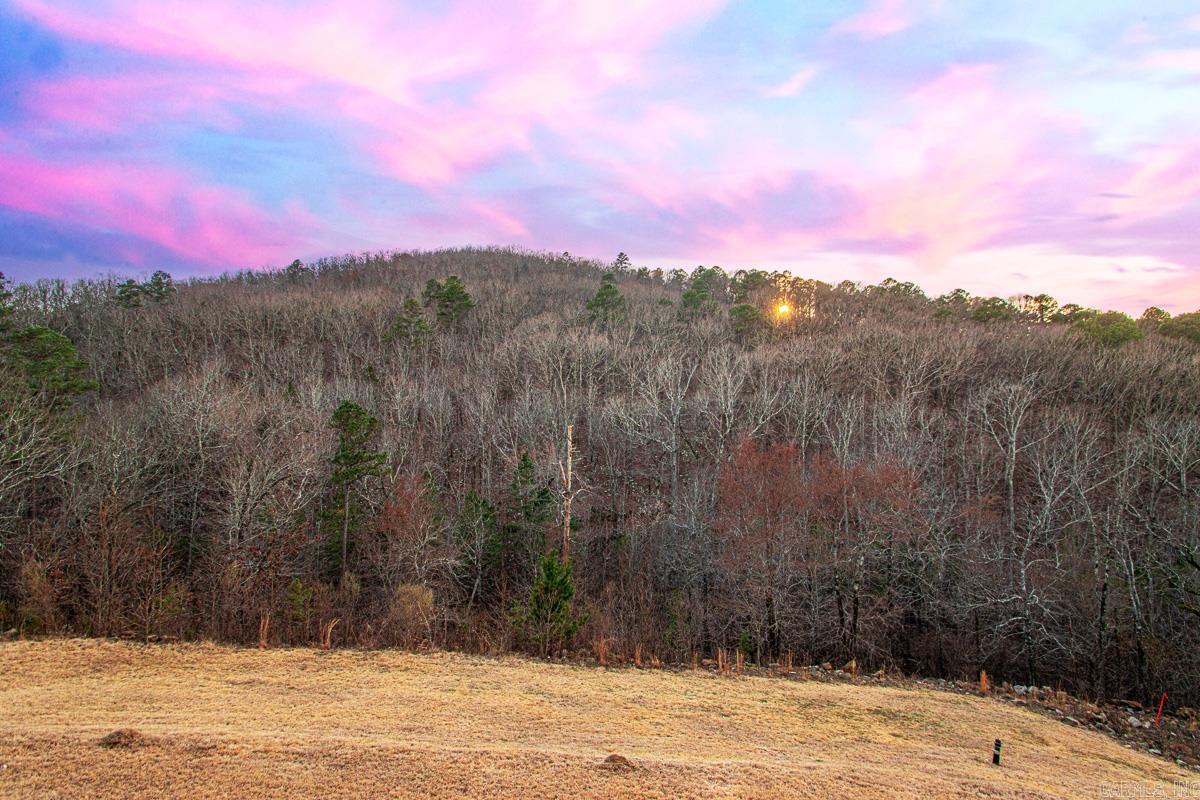 25 Falstone  Little Rock, AR