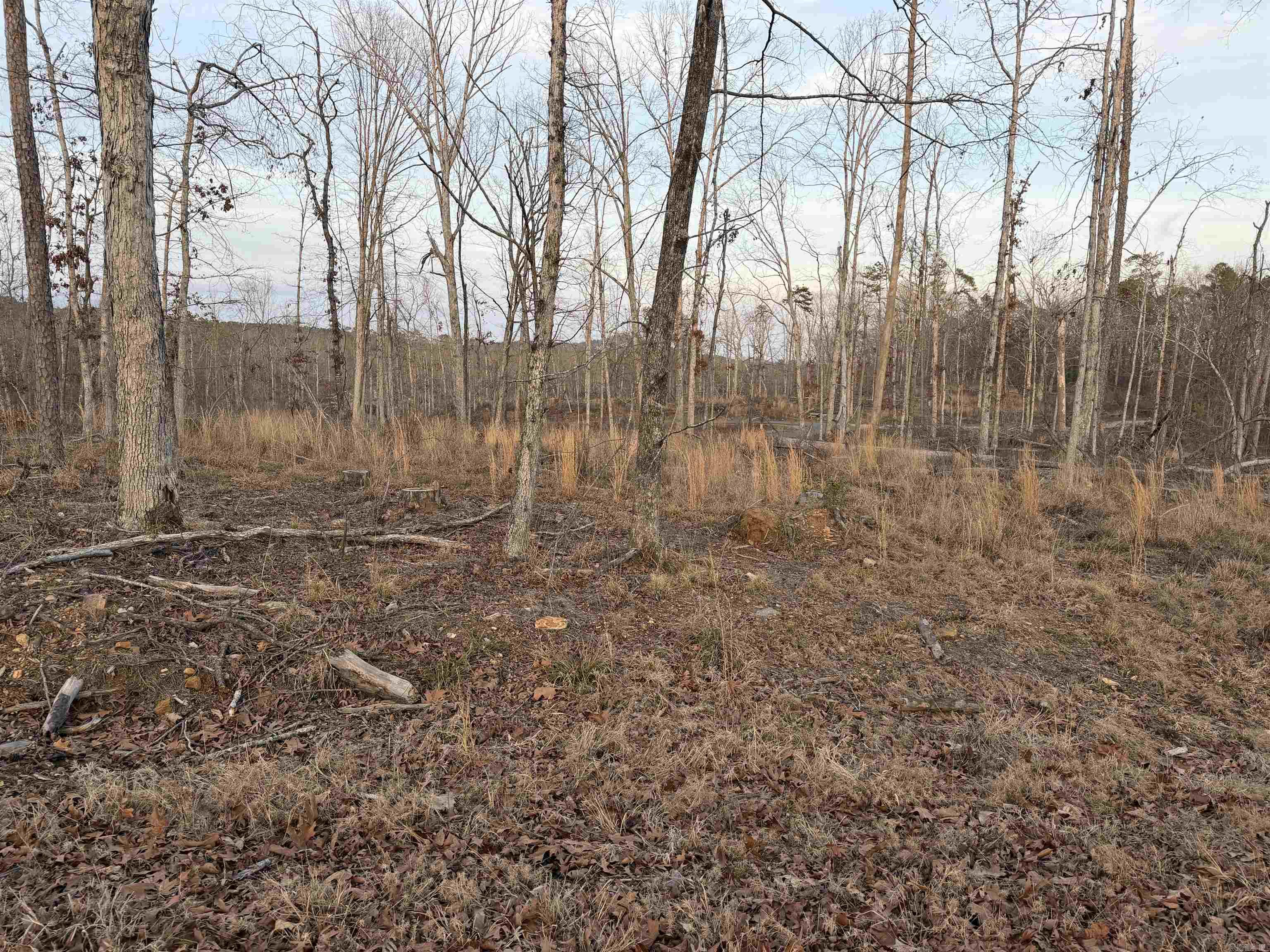 TBD Burgos  Hot Springs Village, AR