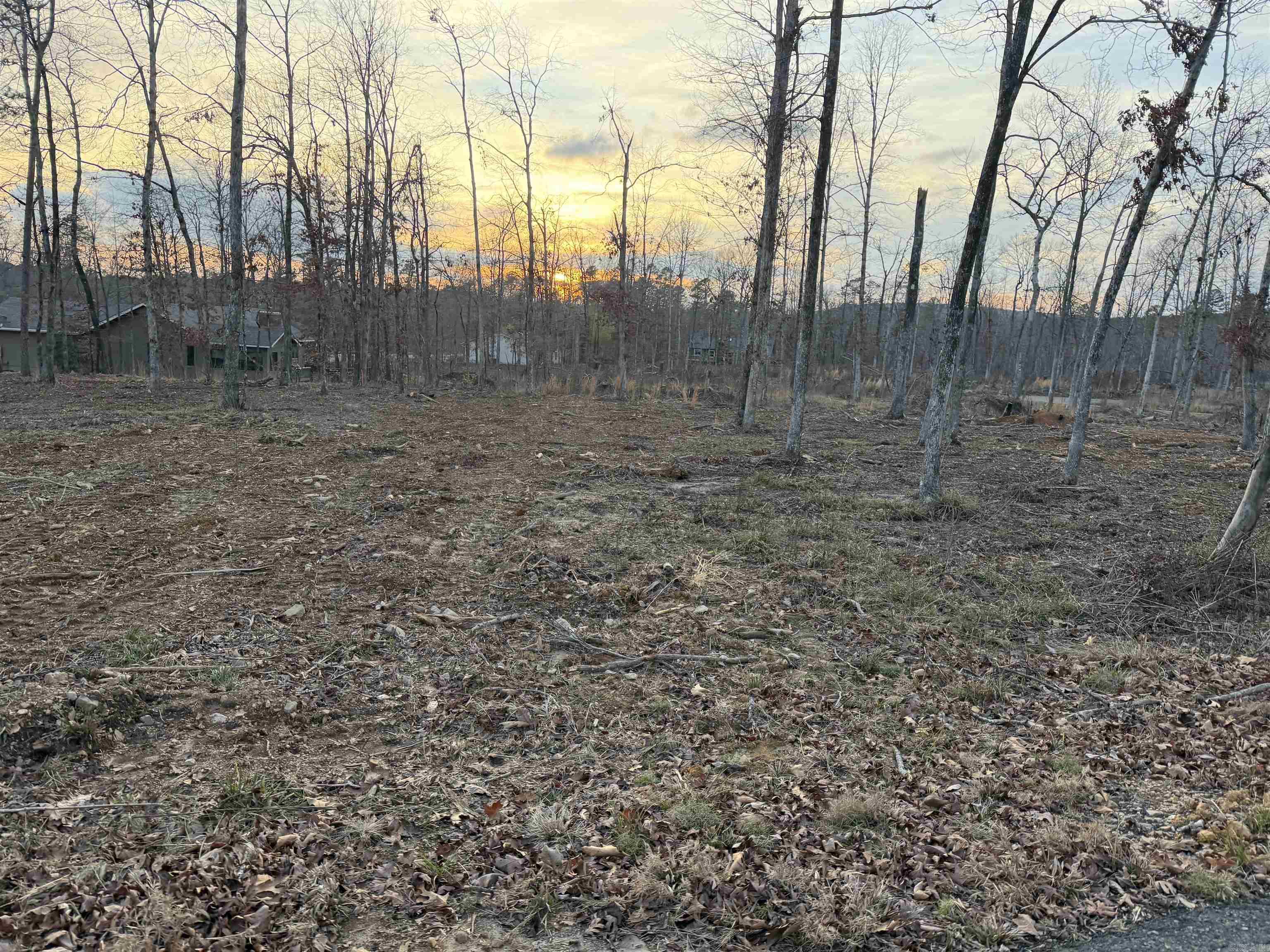 TBD Burgos  Hot Springs Village, AR