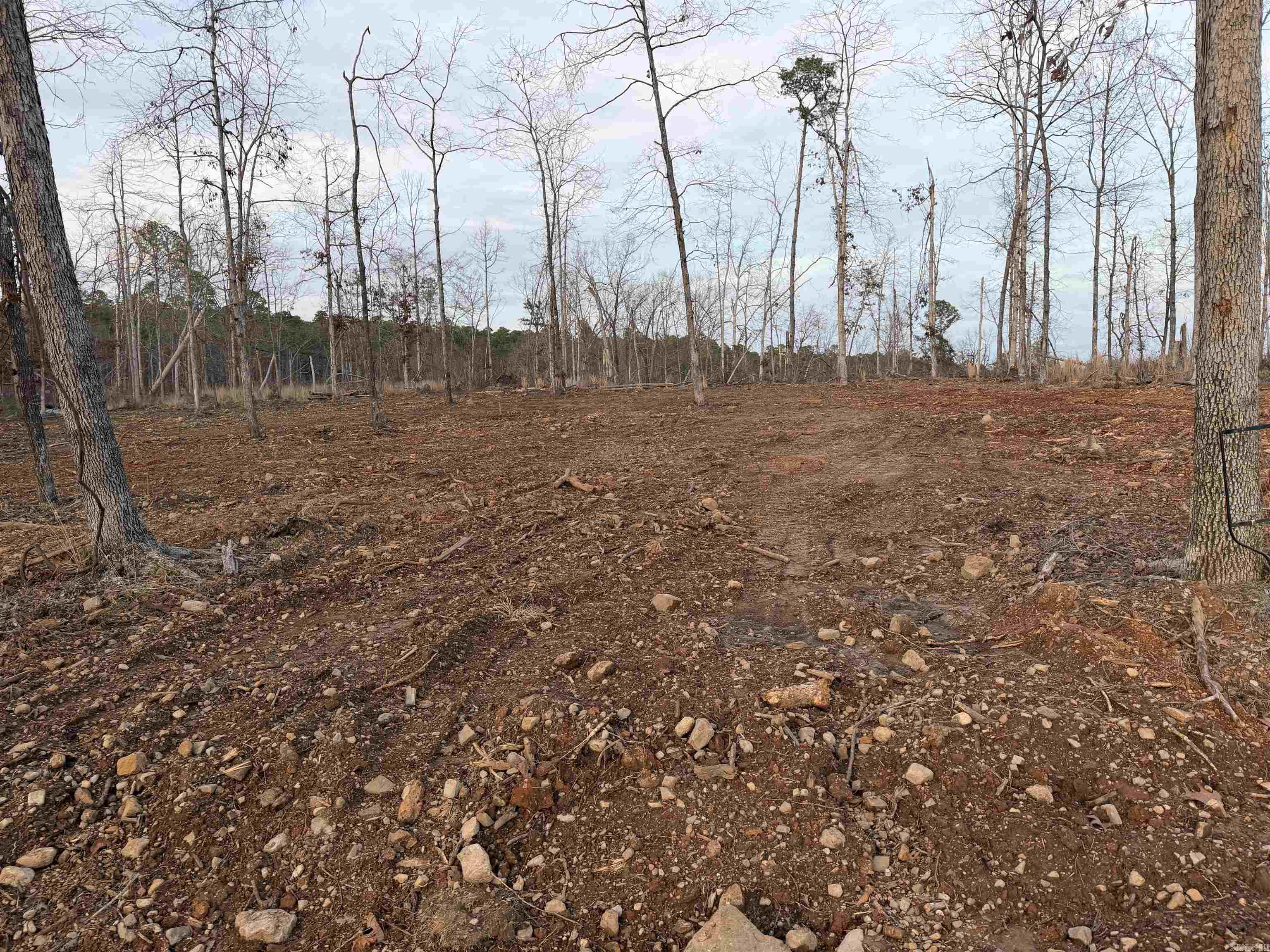 TBD Burgos  Hot Springs Village, AR