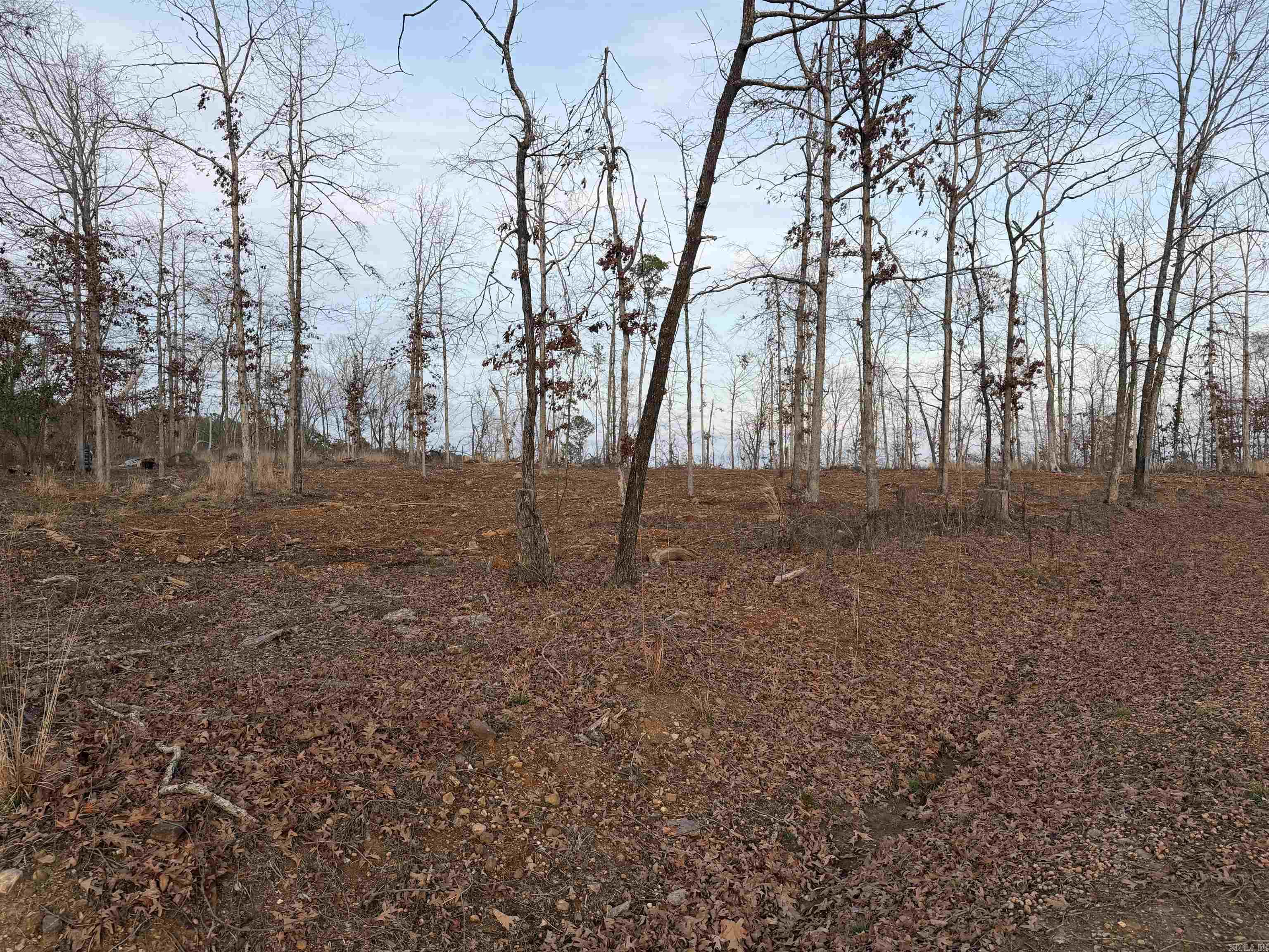 000 Burgos  Hot Springs Village, AR