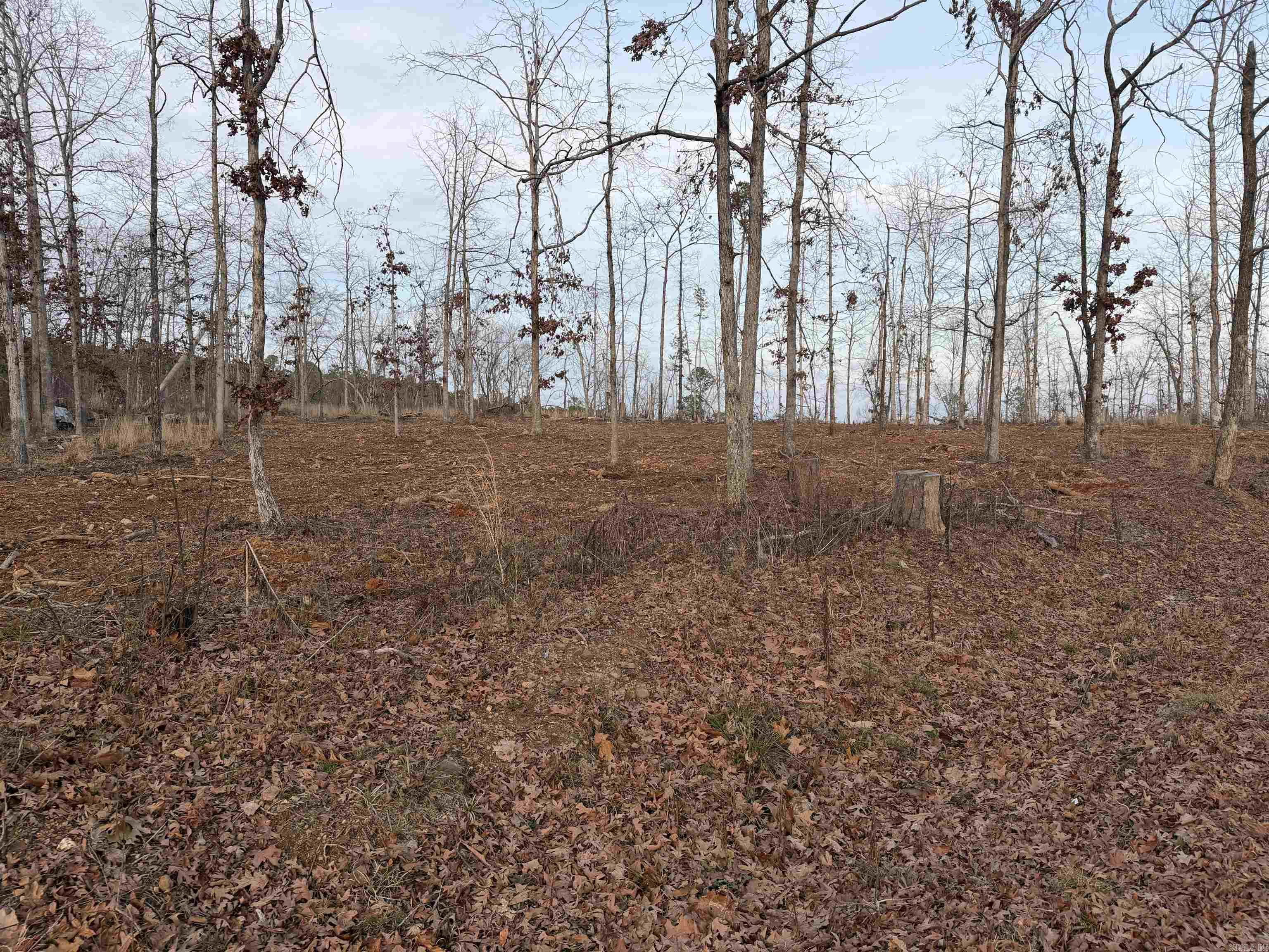 000 Burgos  Hot Springs Village, AR