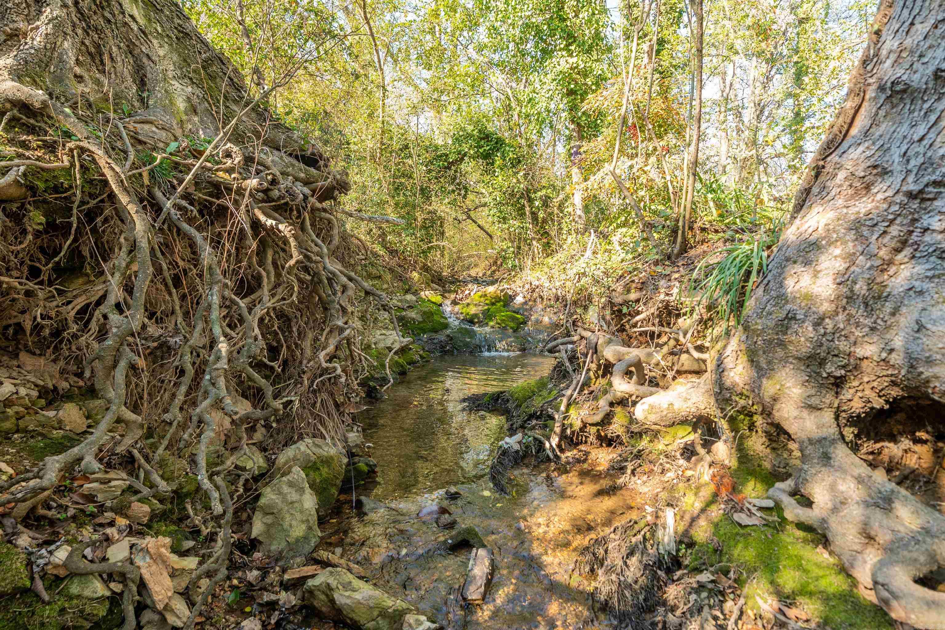 503 & 505 S Patterson  Hot Springs, AR