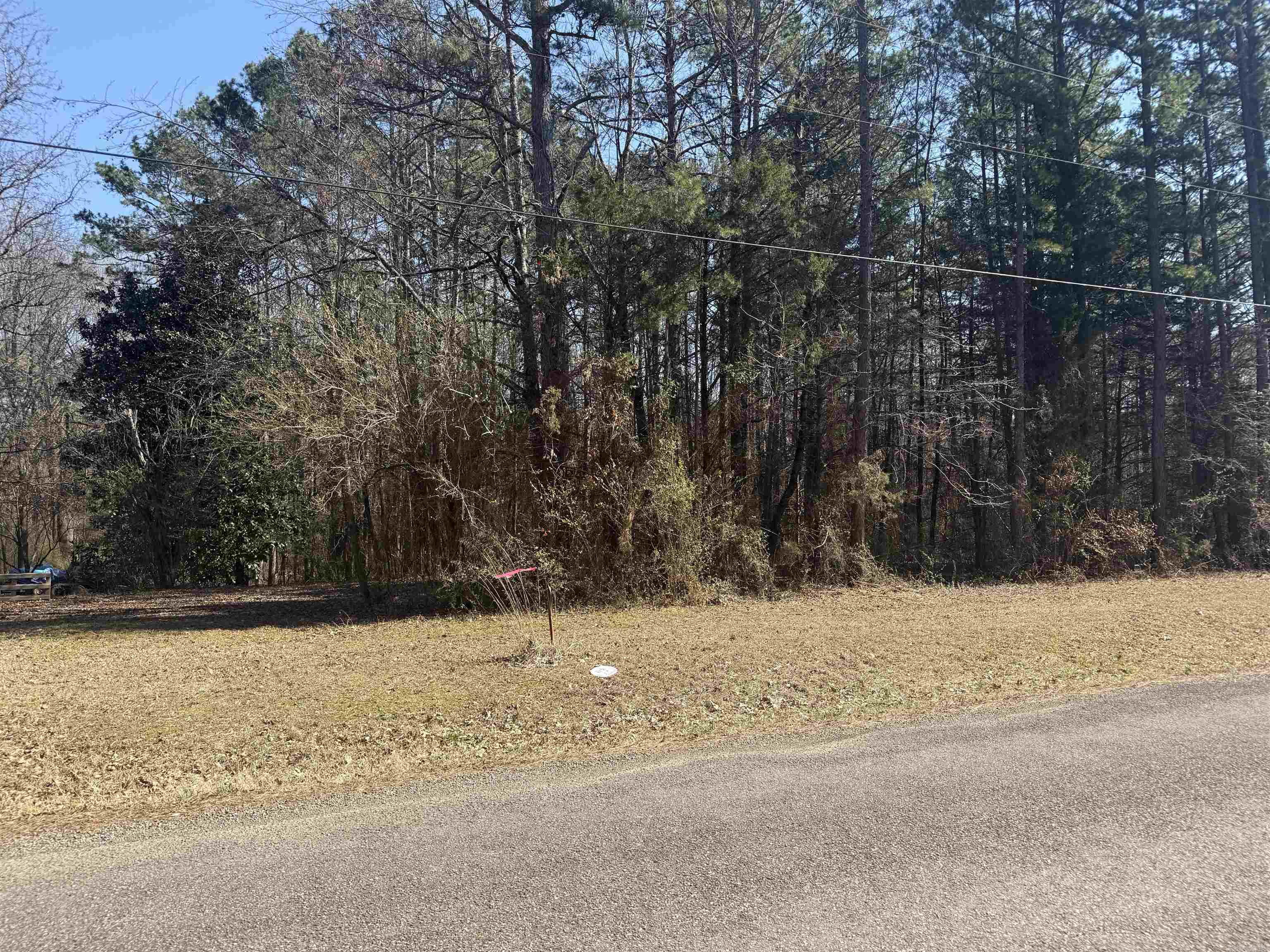 487 Valley Dr.  Heber Springs, AR
