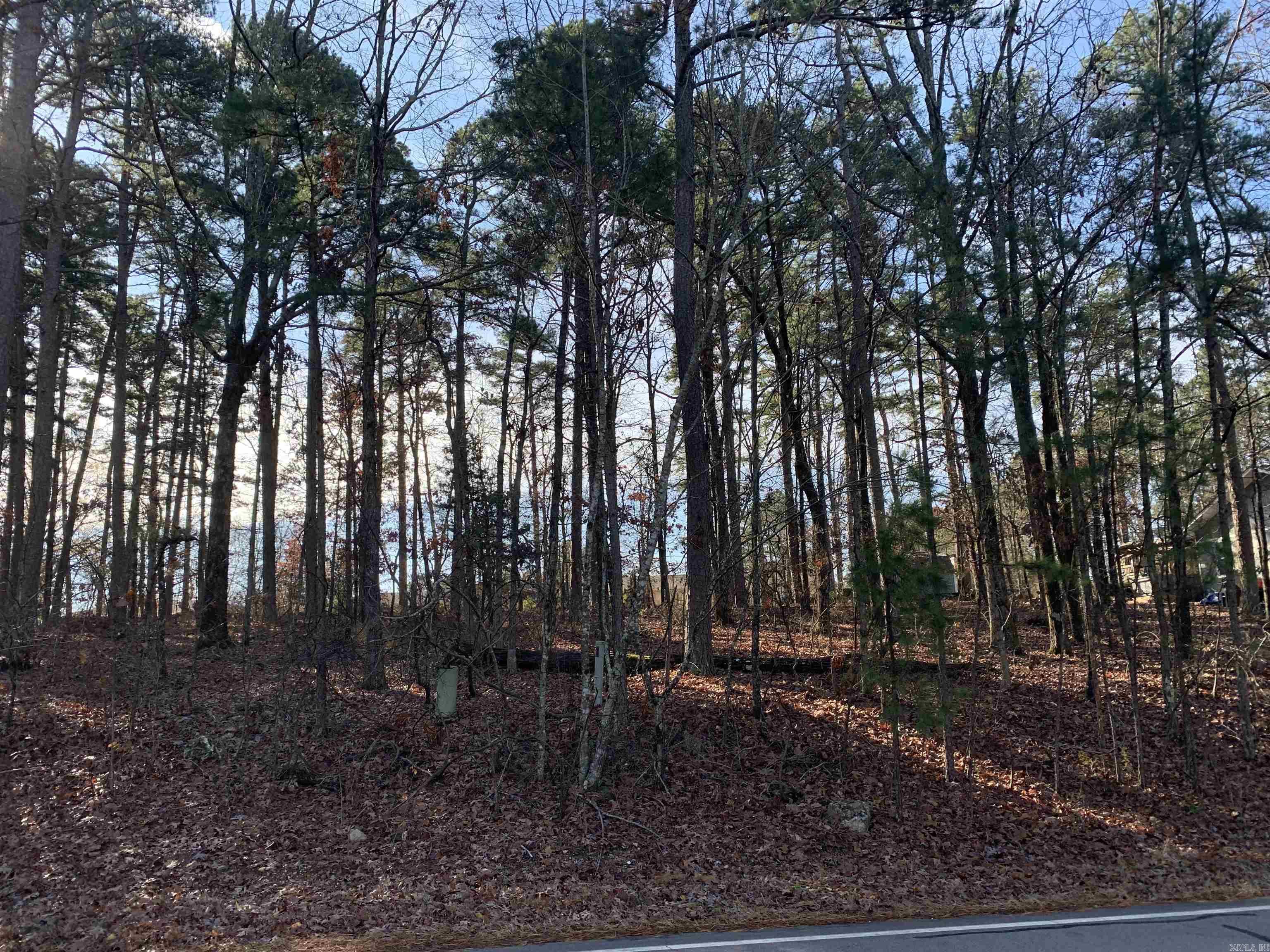 27 Alicante  Hot Springs Village, AR