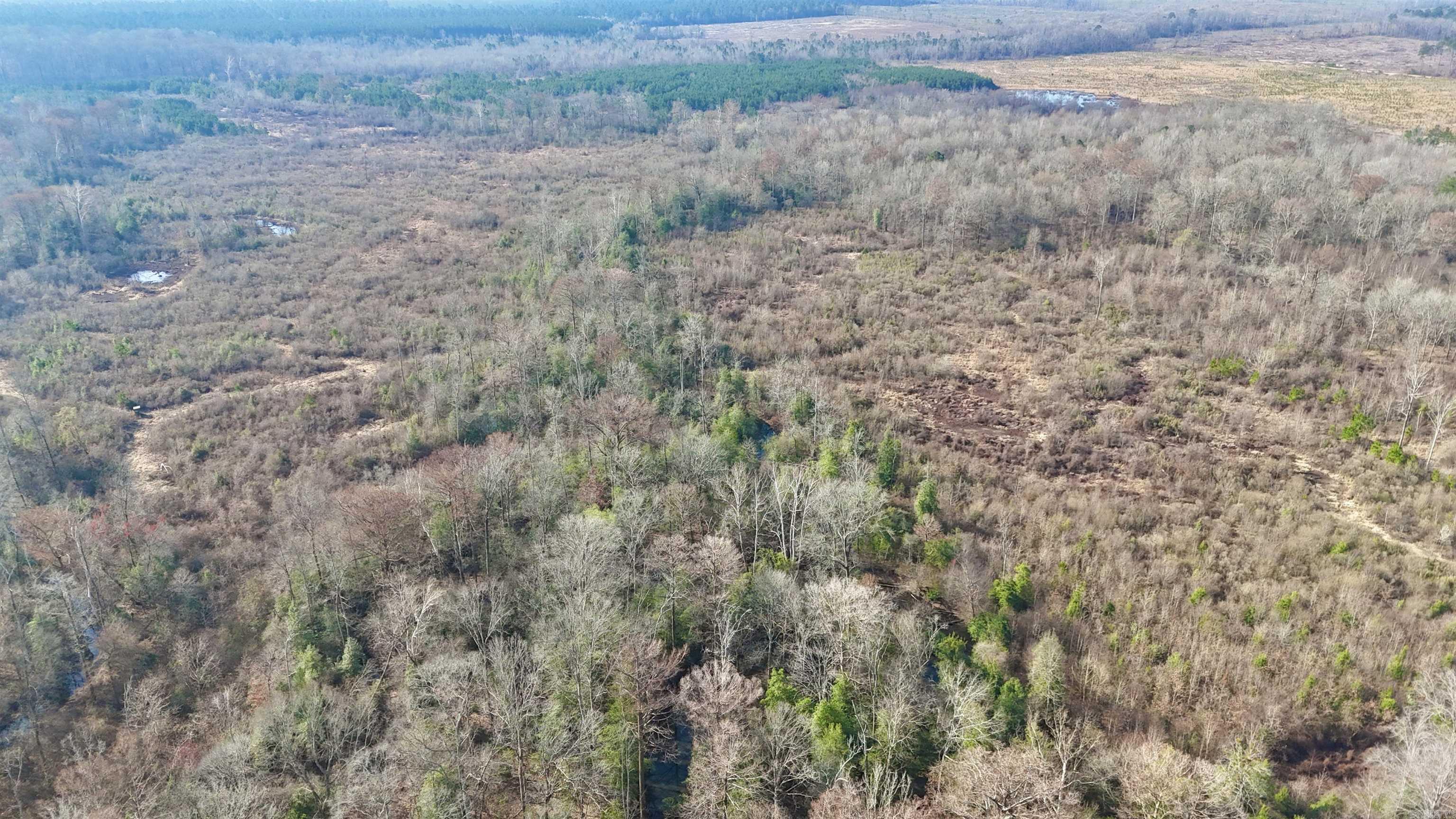 0 Brushy Creek  Rison, AR