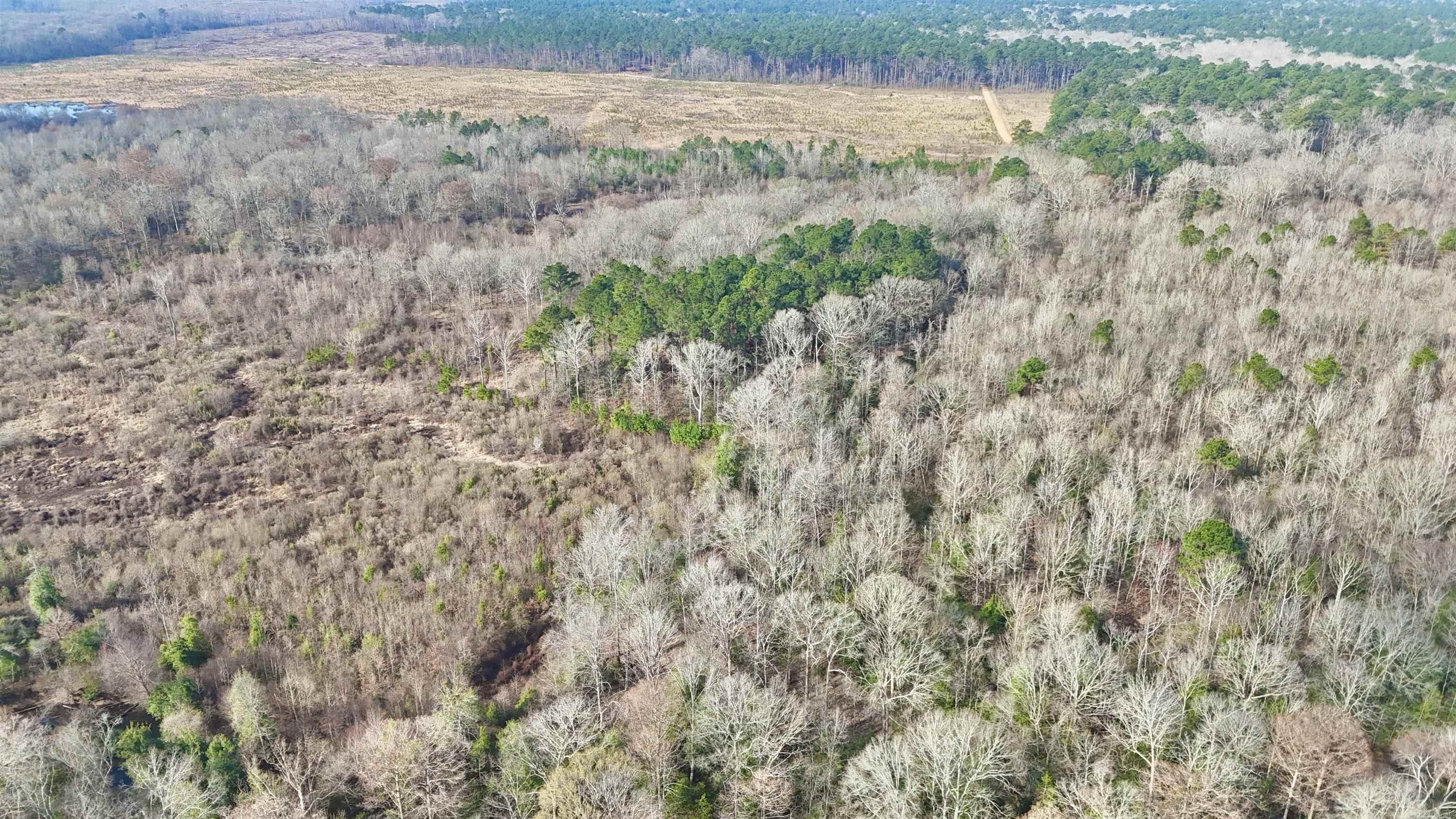 0 Brushy Creek  Rison, AR