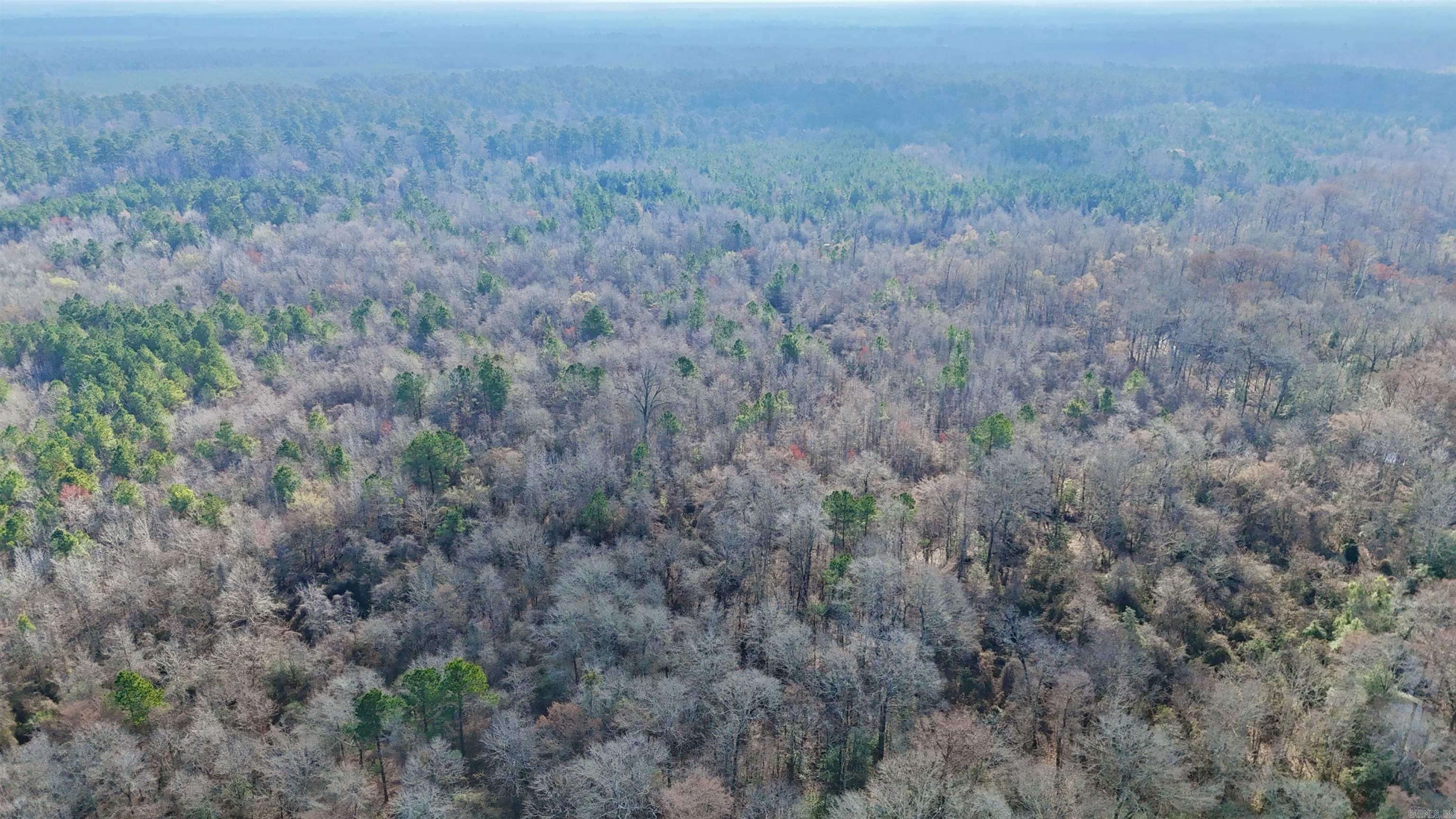 0 Brushy Creek  Rison, AR