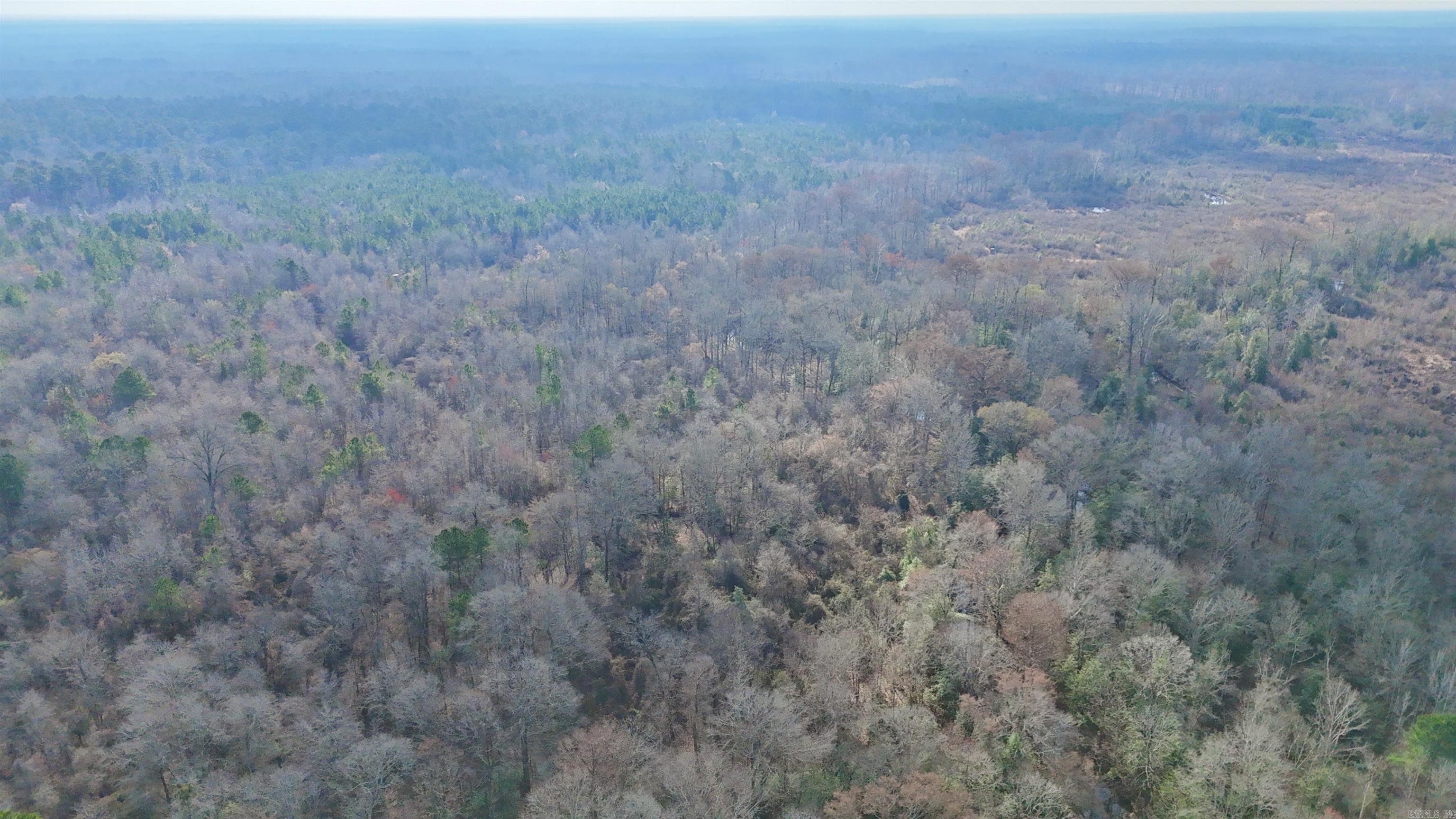 0 Brushy Creek  Rison, AR