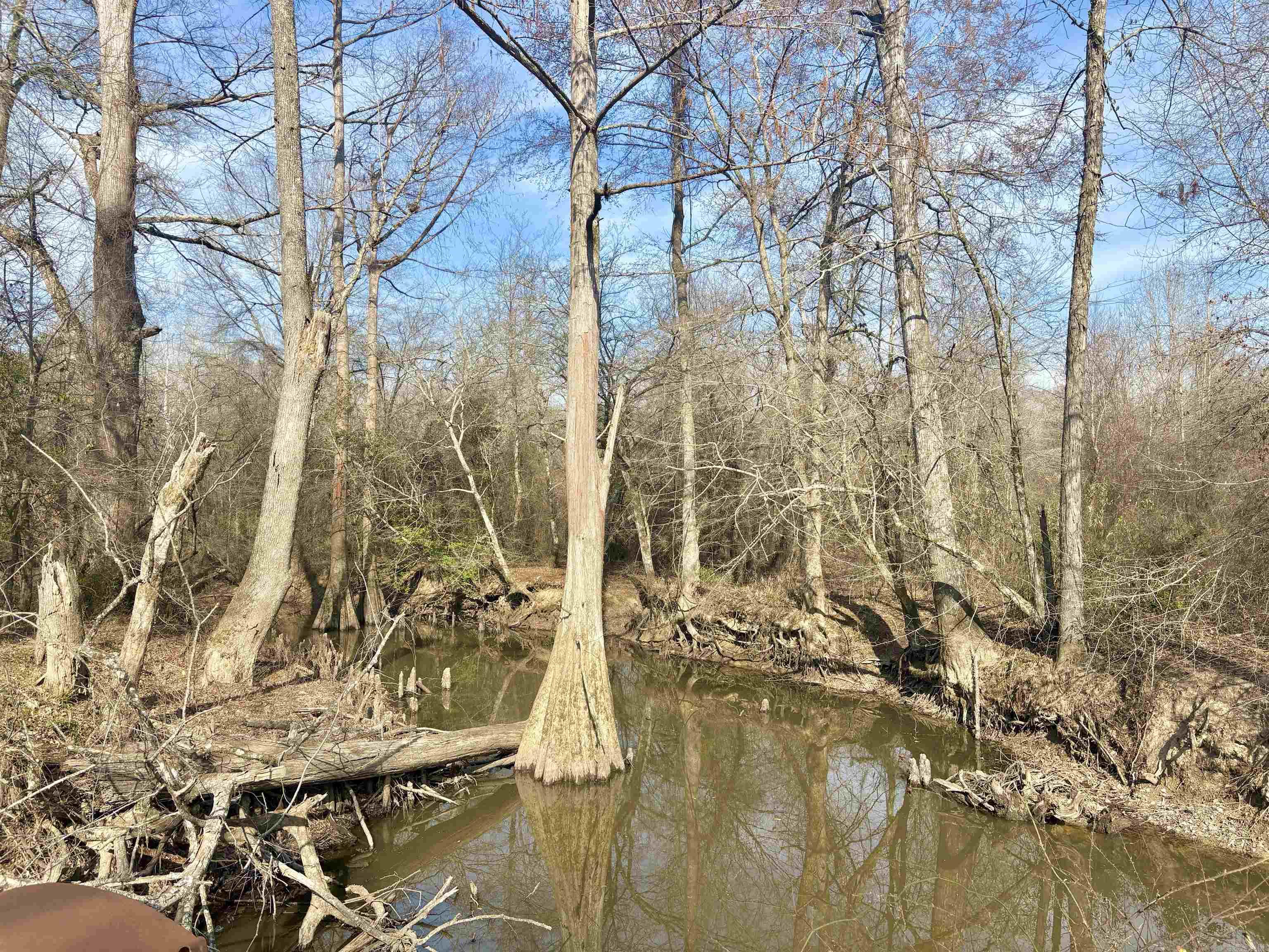 0 Brushy Creek  Rison, AR