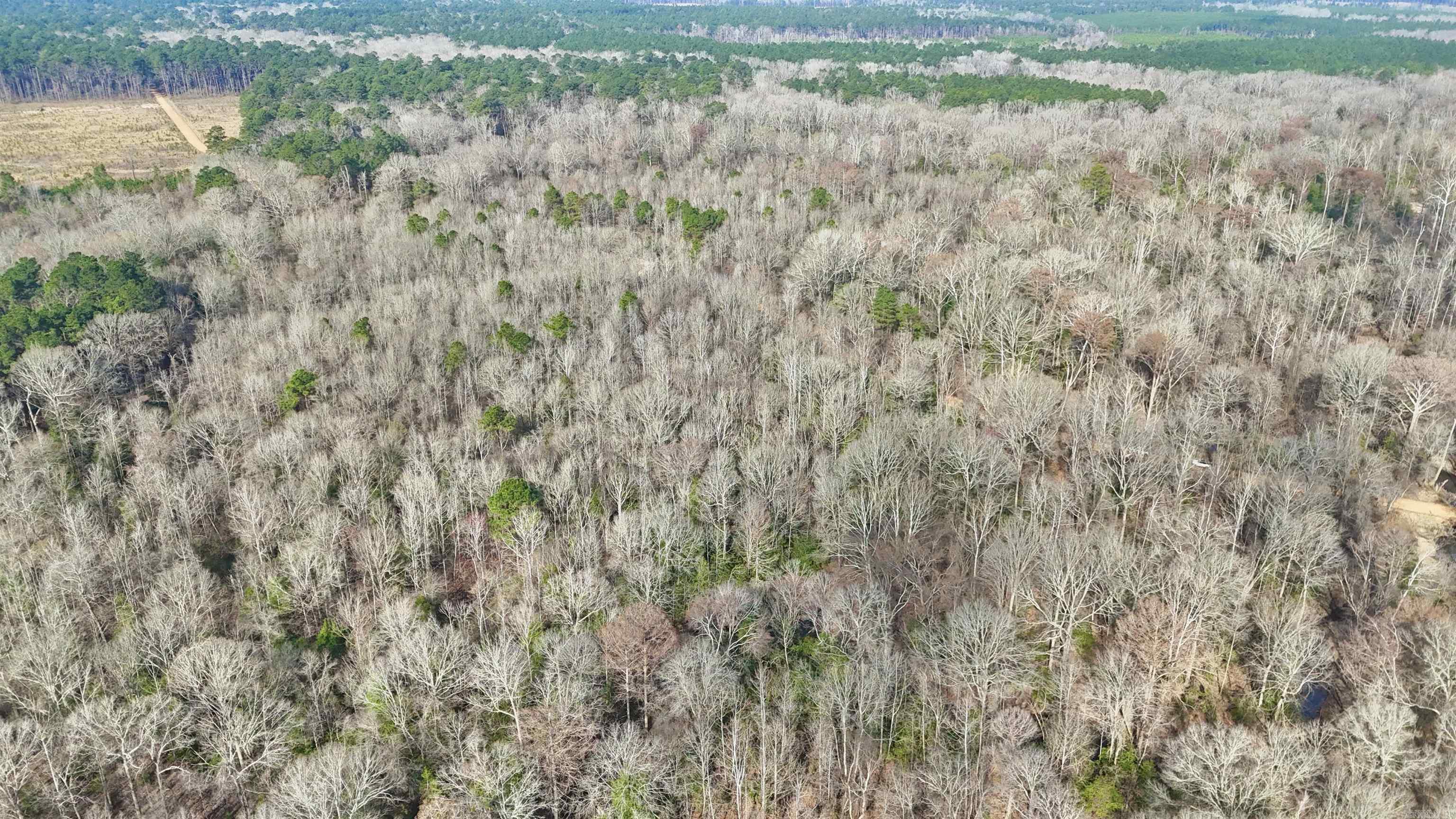 0 Brushy Creek  Rison, AR