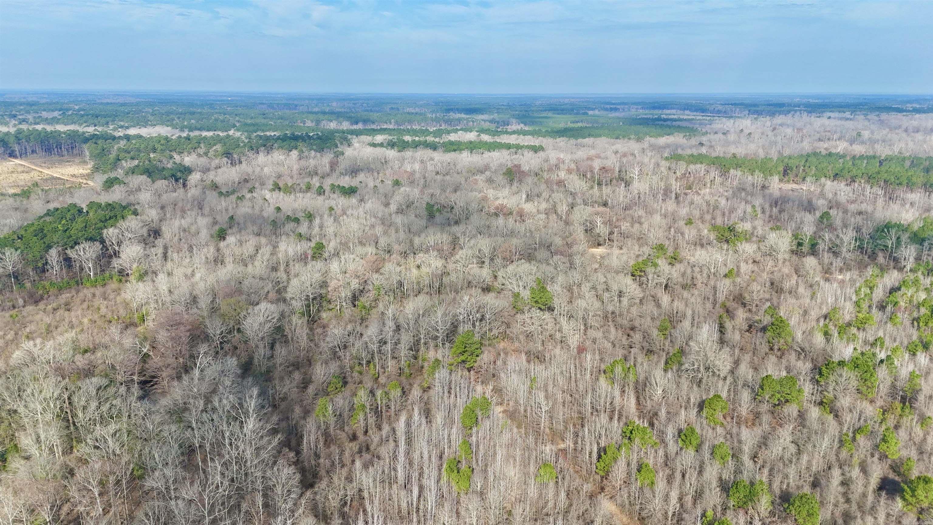 0 Brushy Creek  Rison, AR