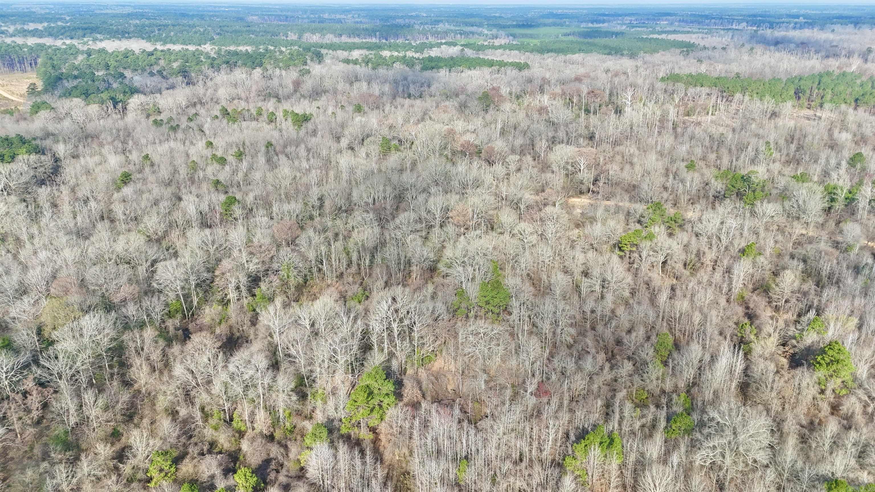 0 Brushy Creek  Rison, AR