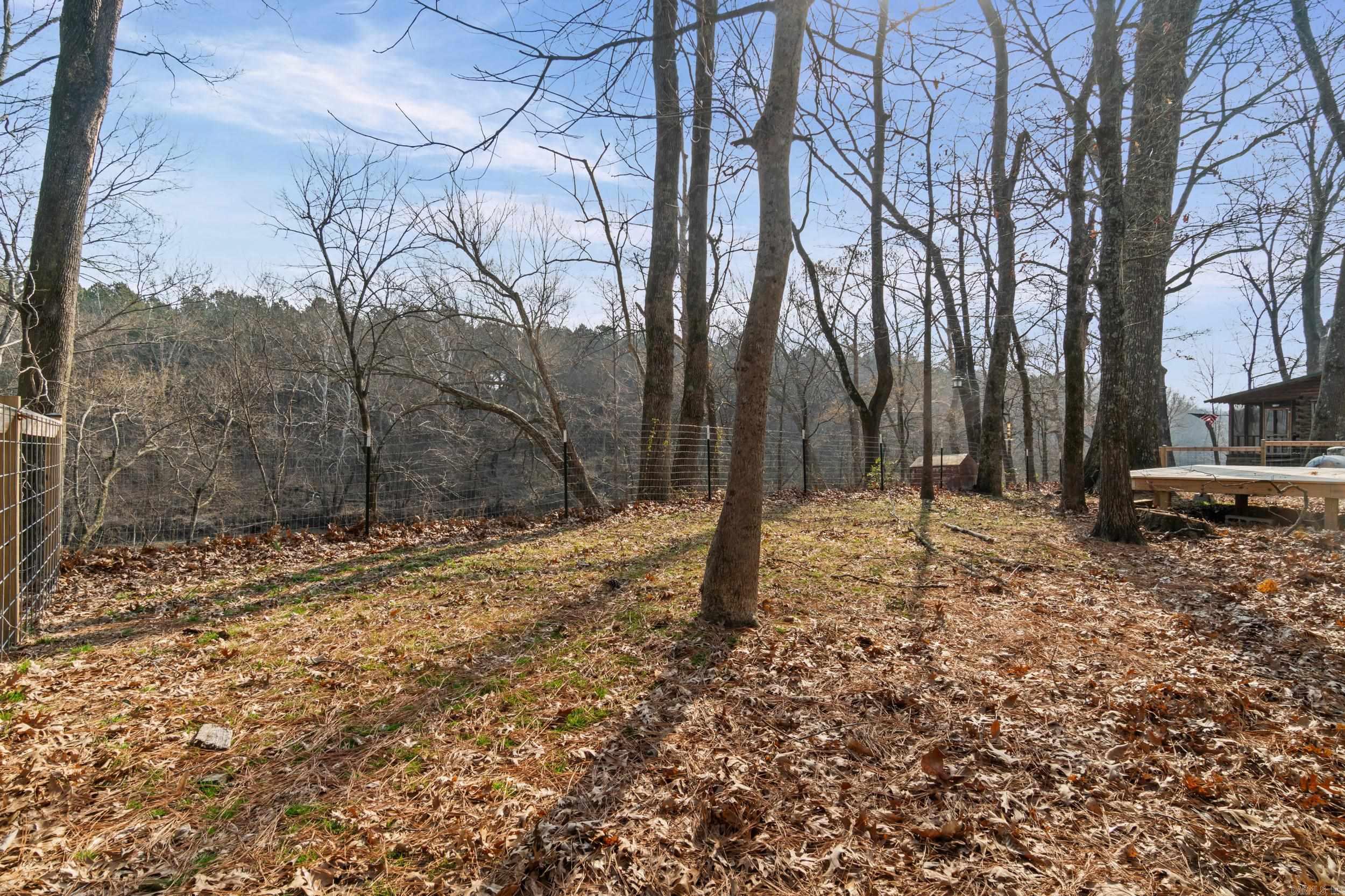 7 Iveon Clay  Pangburn, AR