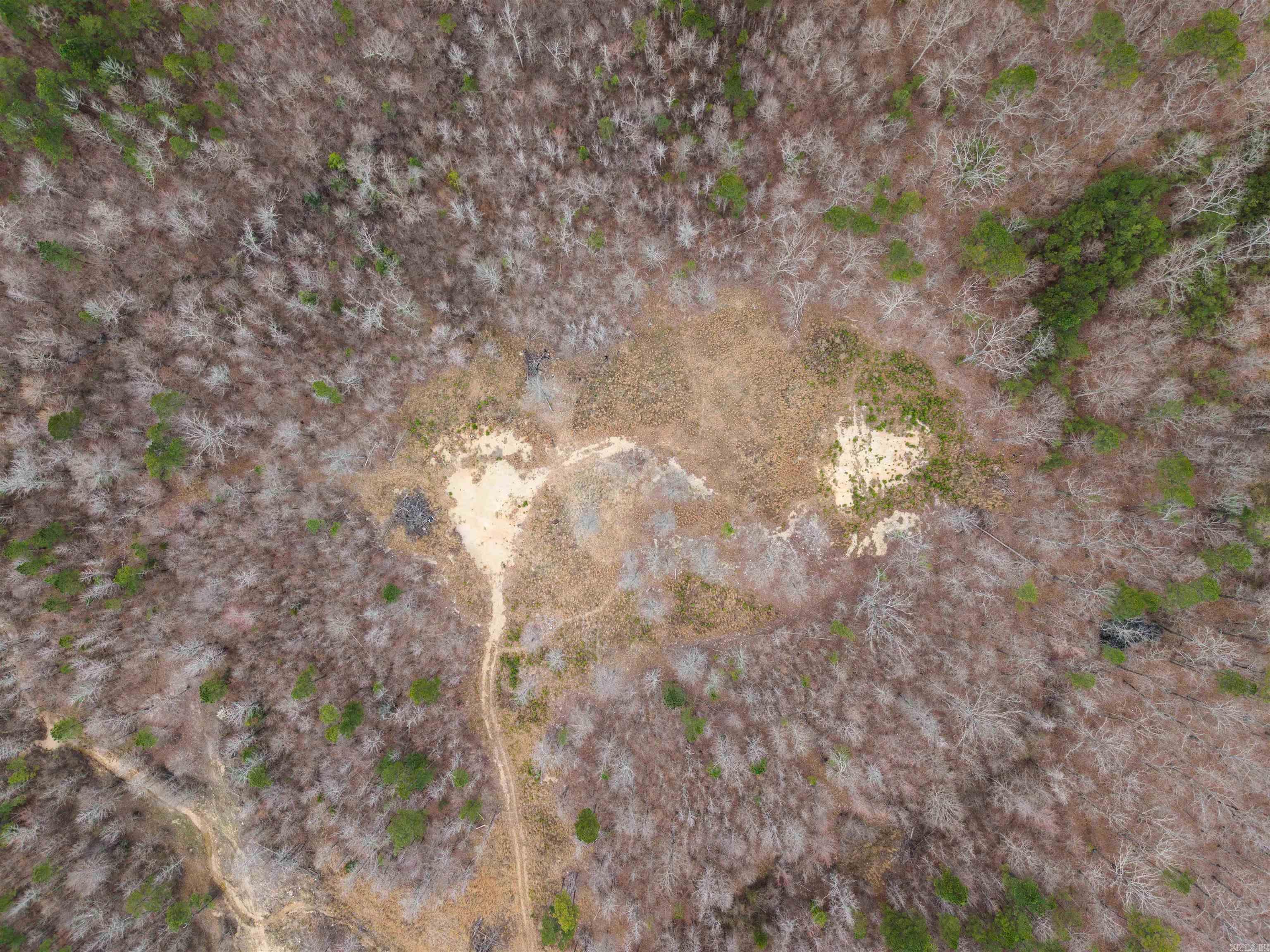 000 Reed  Alexander, AR