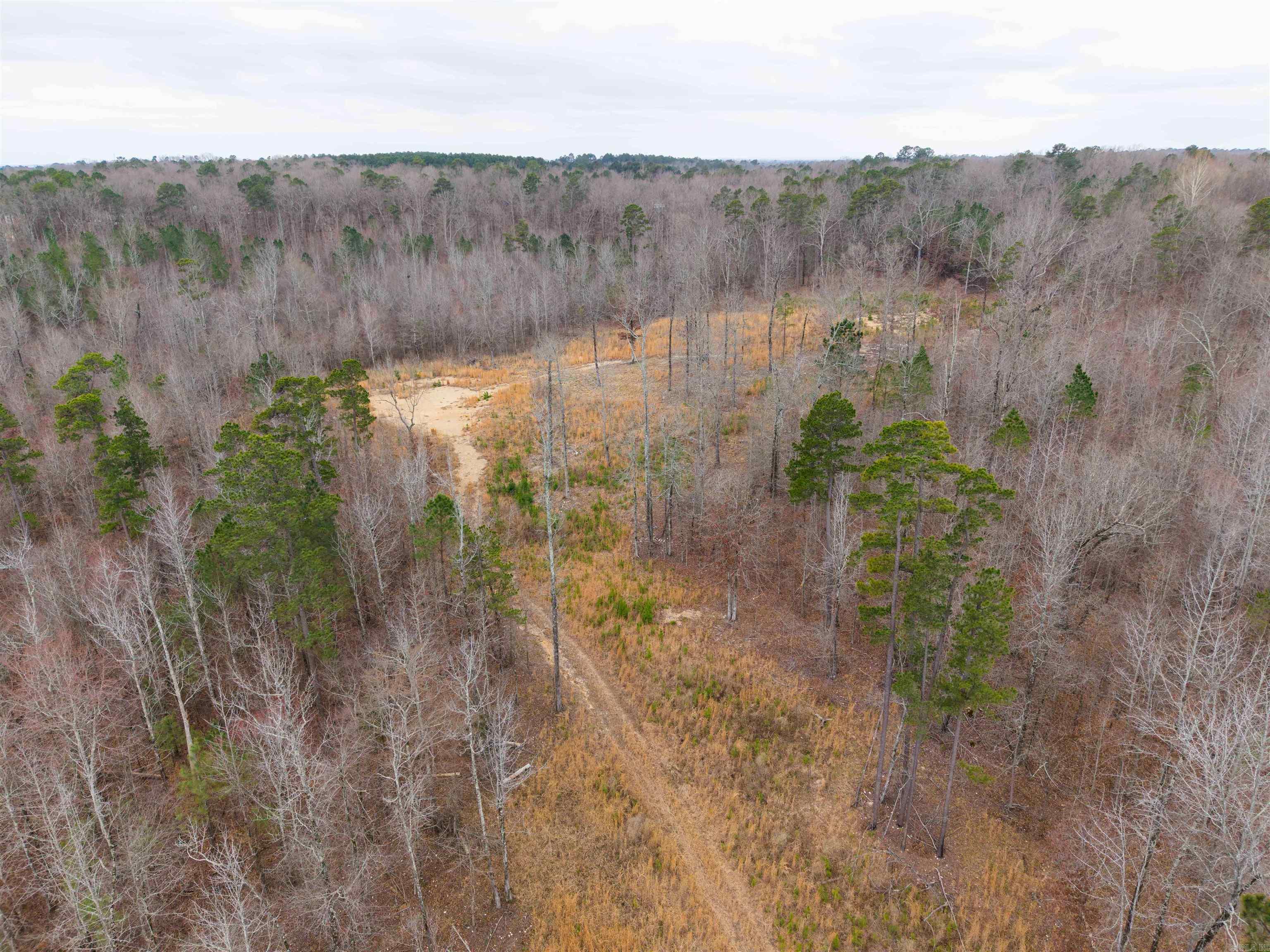 000 Reed  Alexander, AR