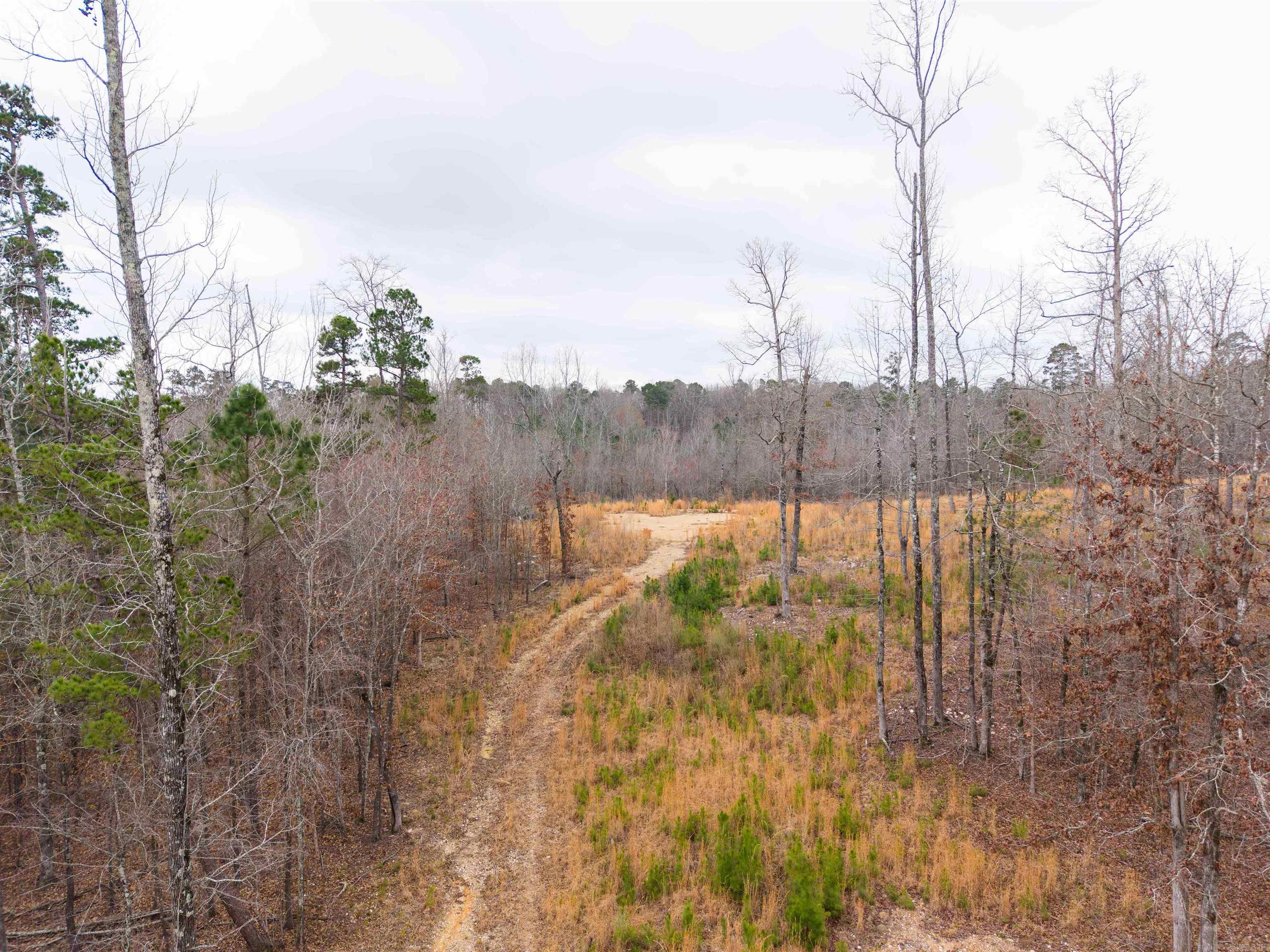 000 Reed  Alexander, AR