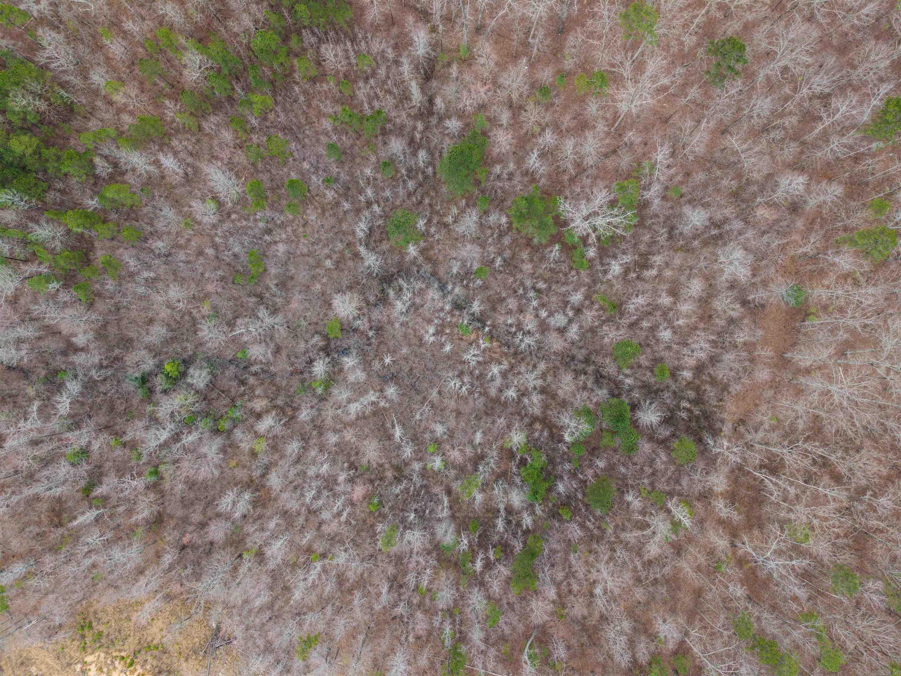 000 Reed  Alexander, AR