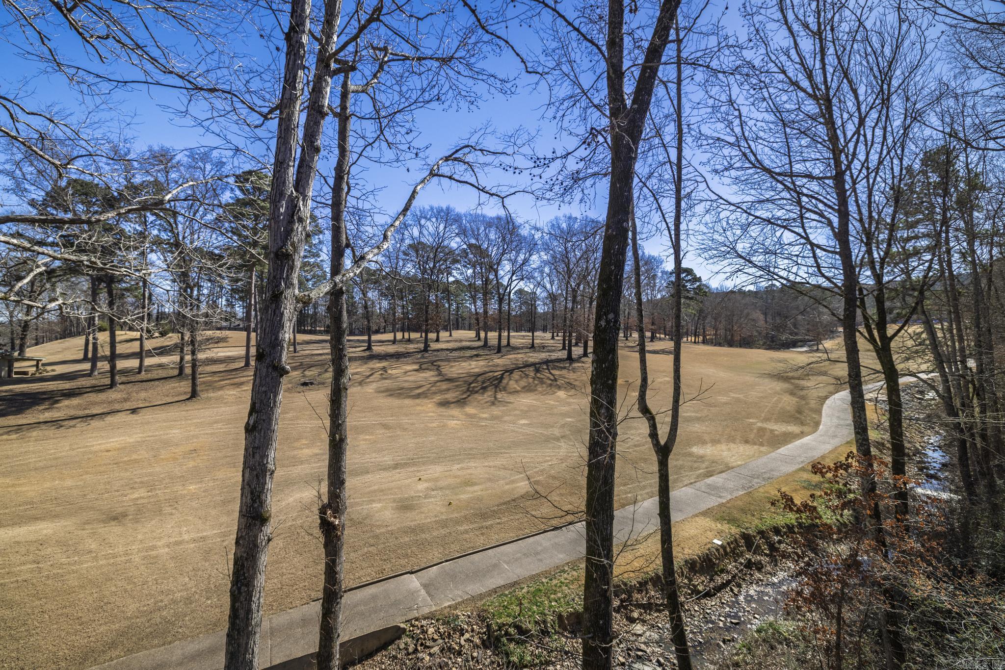 10 Emanuel  Hot Springs Village, AR