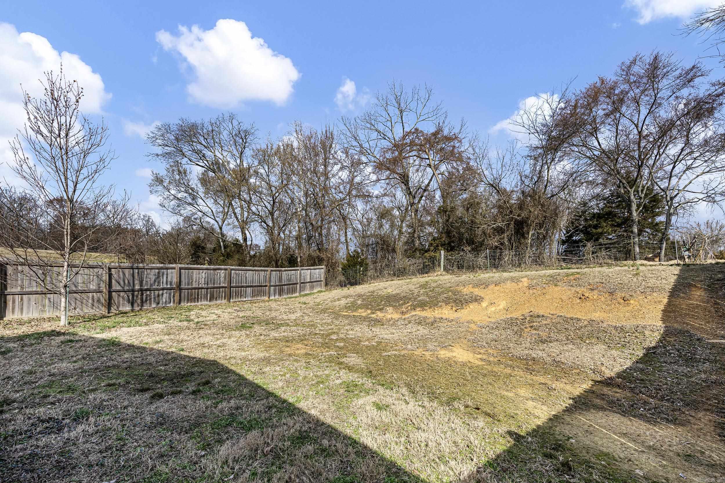 561 Butterfield Stagecoach  Pottsville, AR