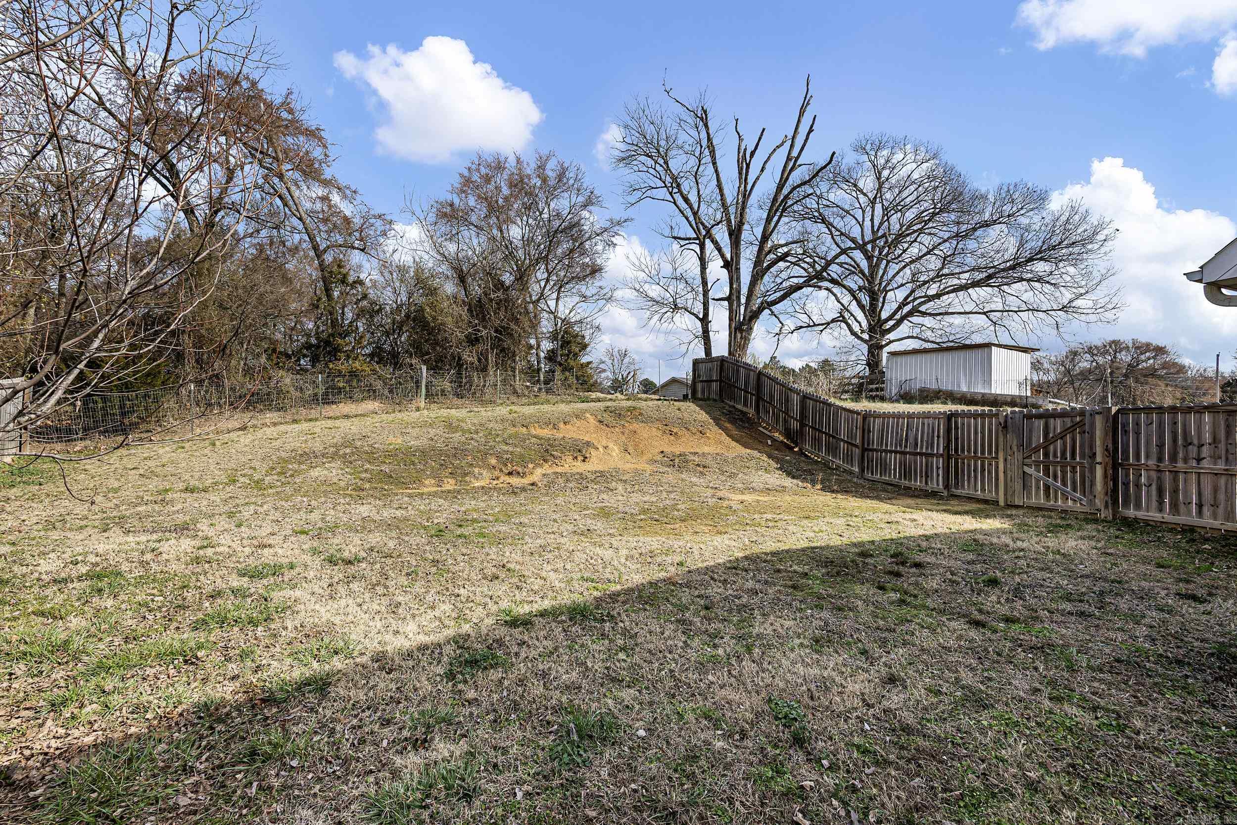 561 Butterfield Stagecoach  Pottsville, AR