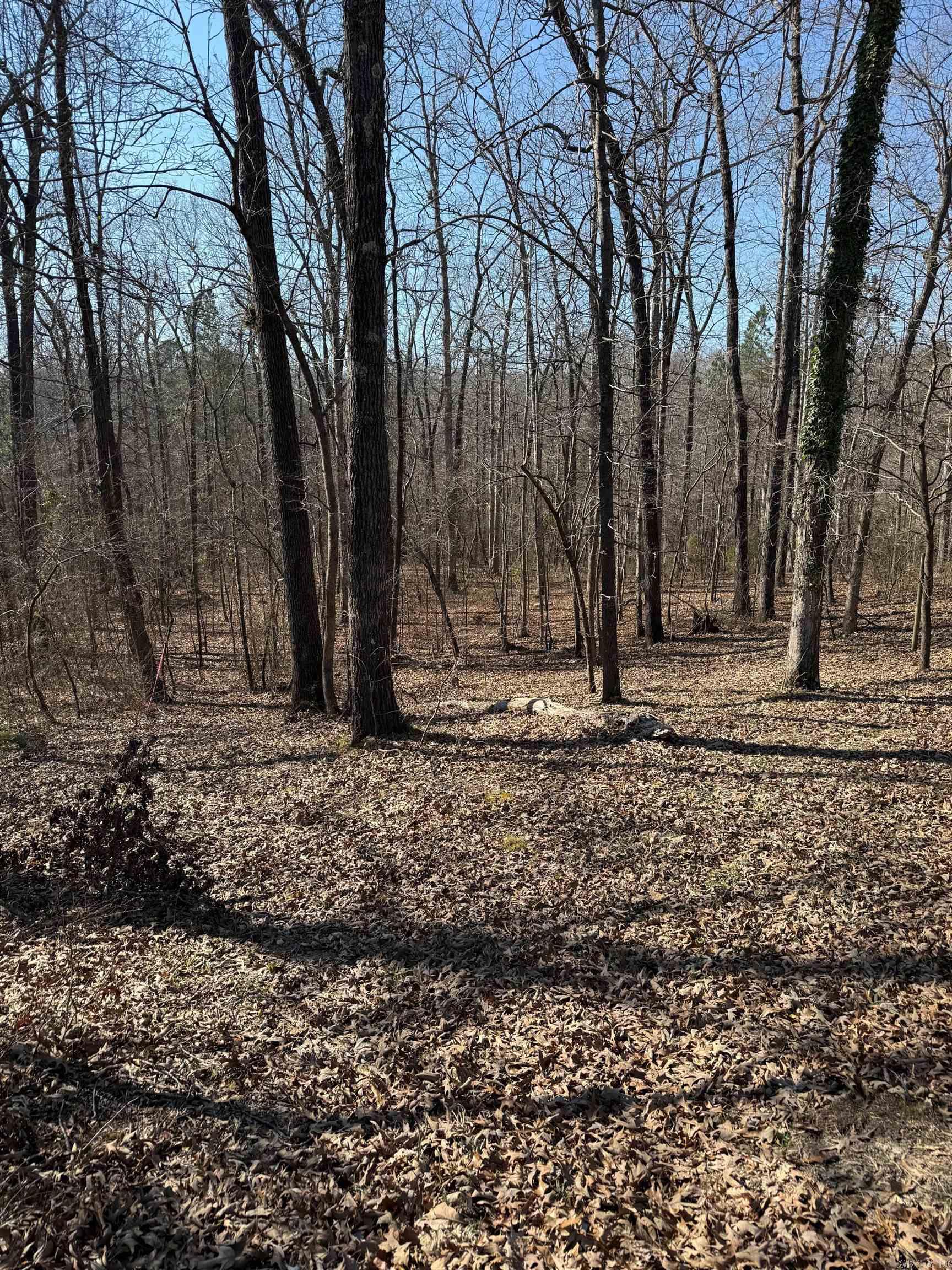 000 Rolleigh Circle  Benton, AR