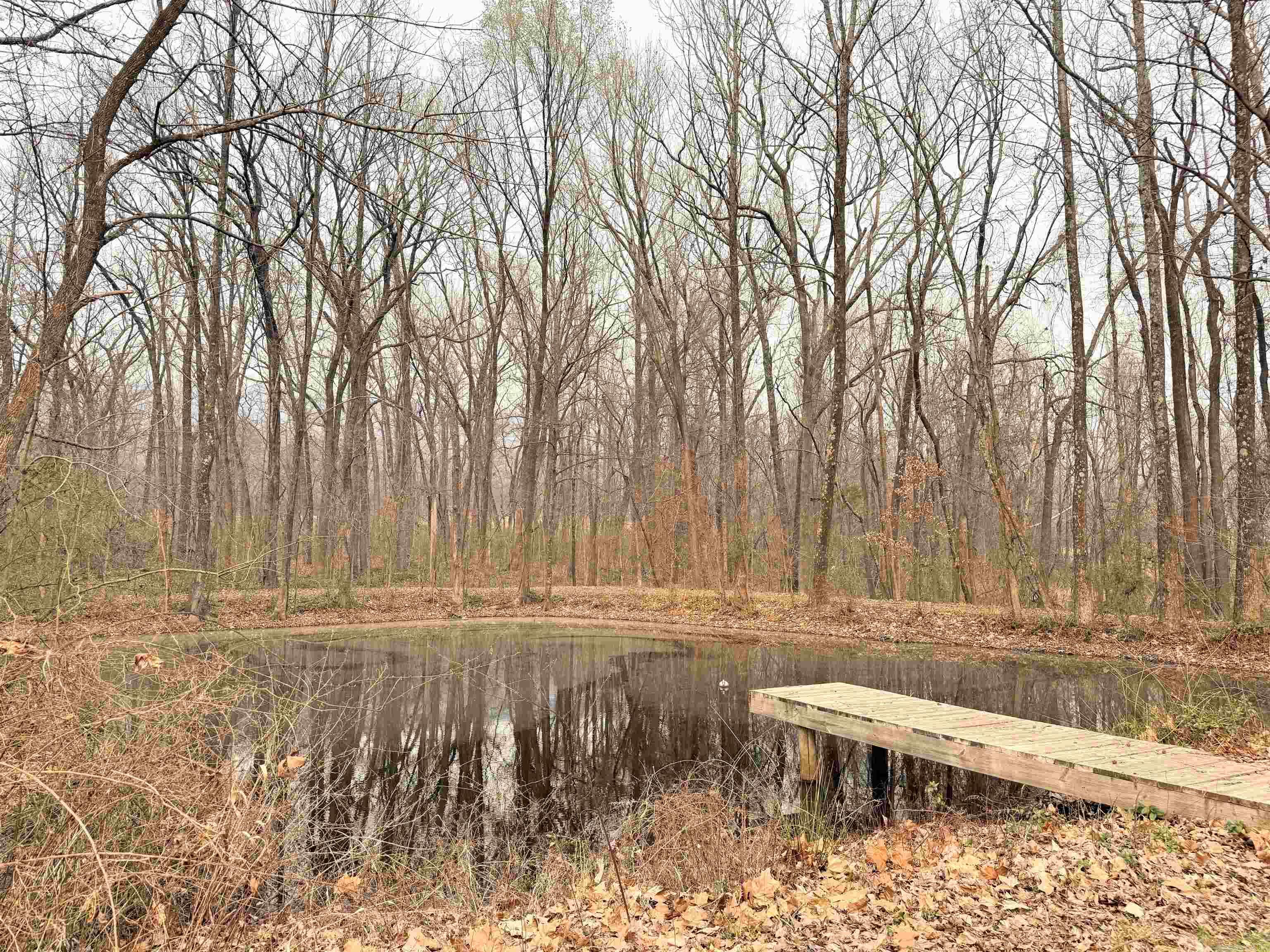 9341 Highway 64  Atkins, AR