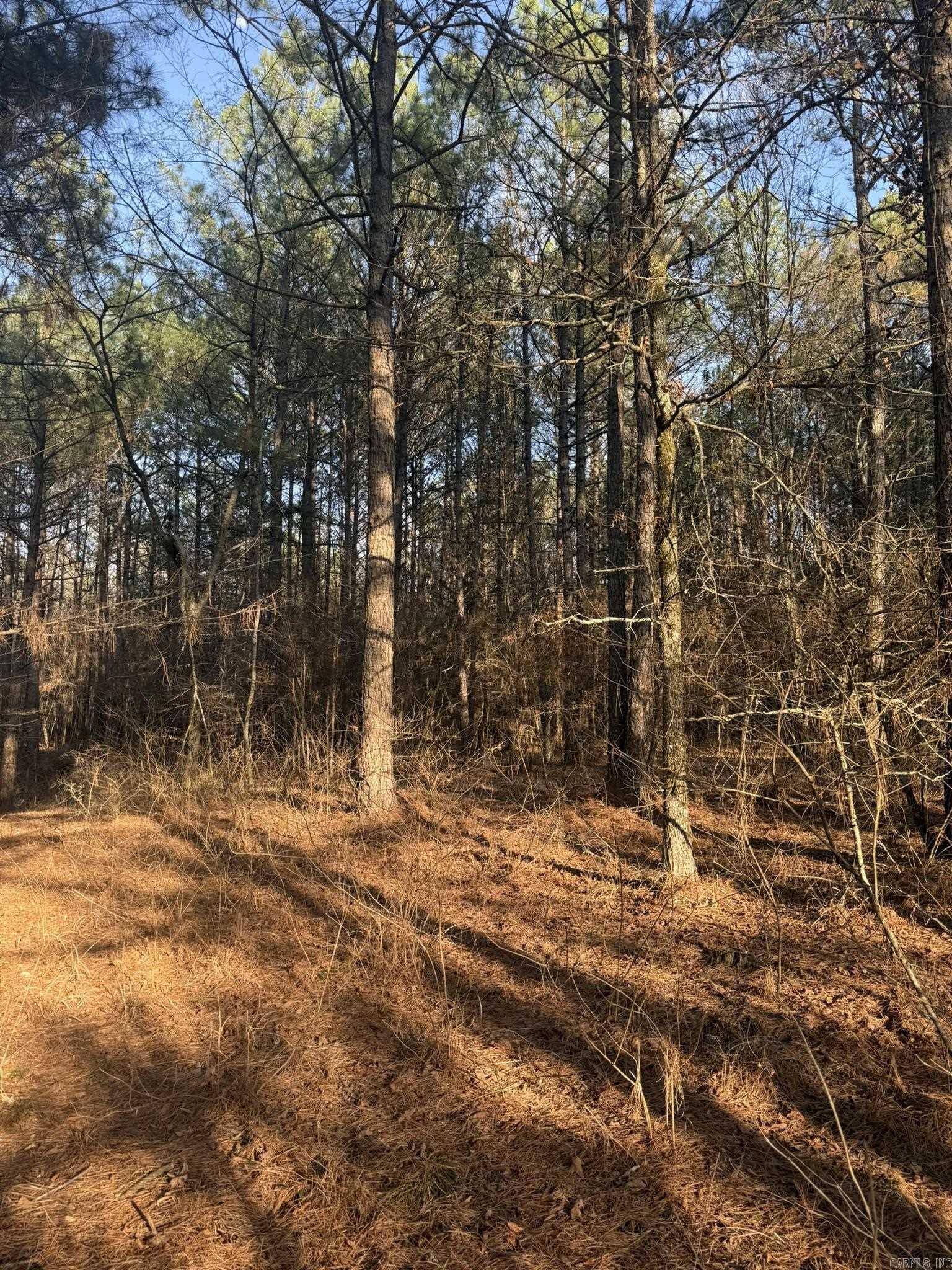 TBD Old Factory Site  Murfreesboro, AR