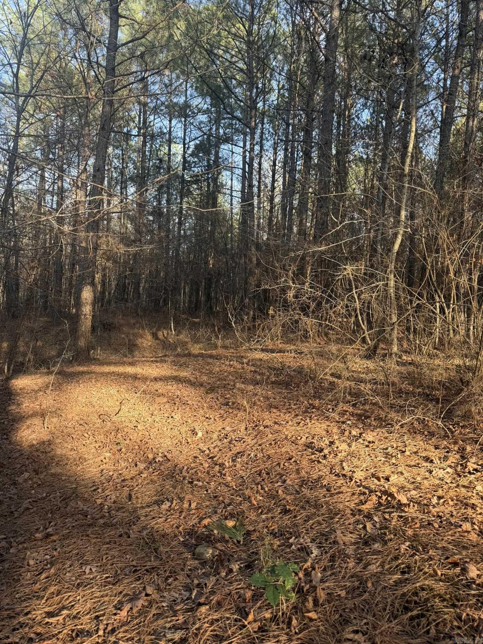 TBD Old Factory Site  Murfreesboro, AR