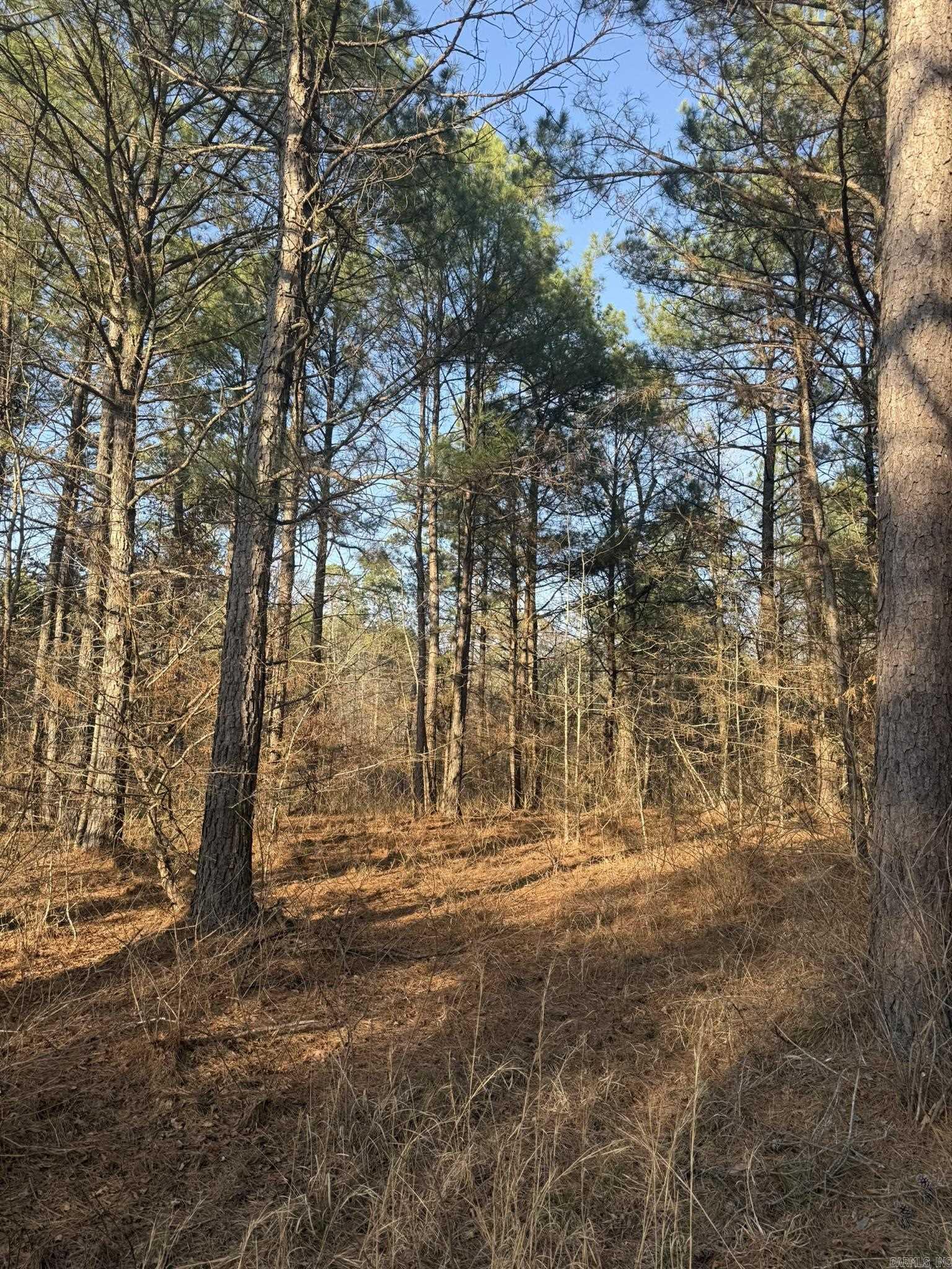 TBD Old Factory Site  Murfreesboro, AR