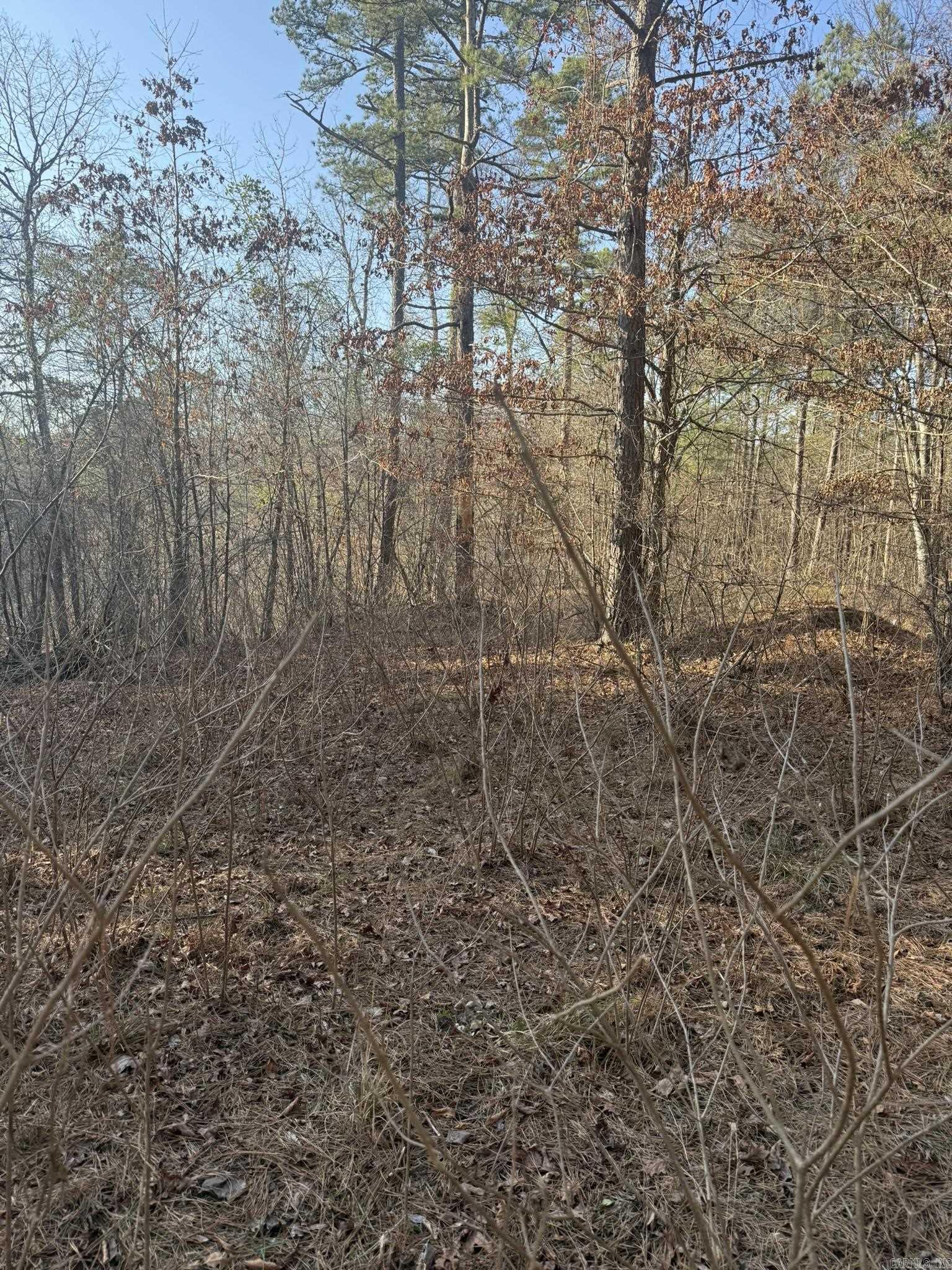 TBD Old Factory Site  Murfreesboro, AR