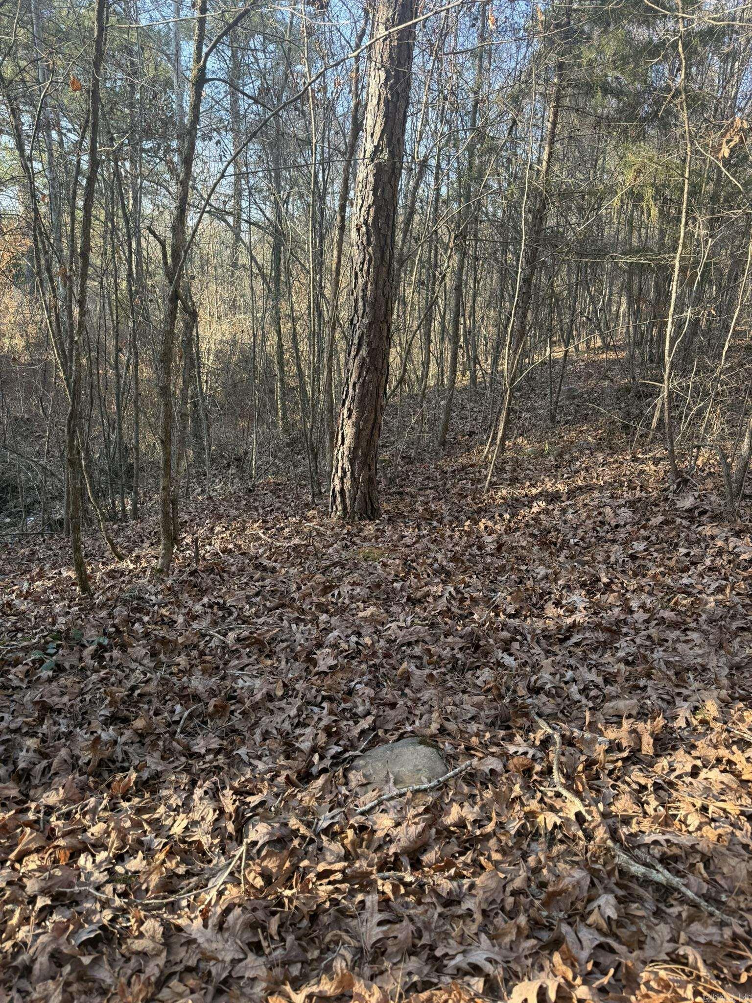 TBD Old Factory Site  Murfreesboro, AR