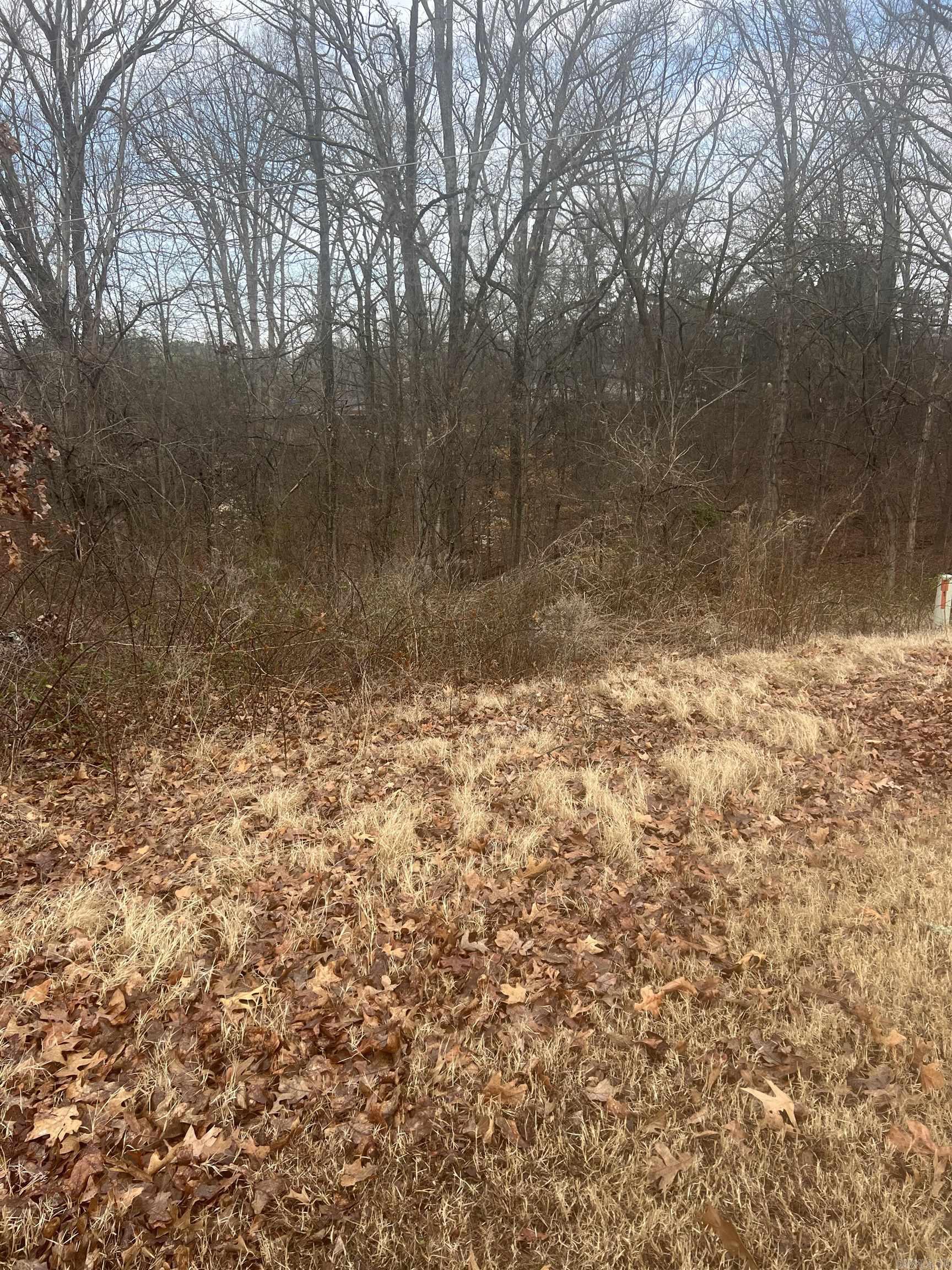  E Oak Cove  Forrest City, AR