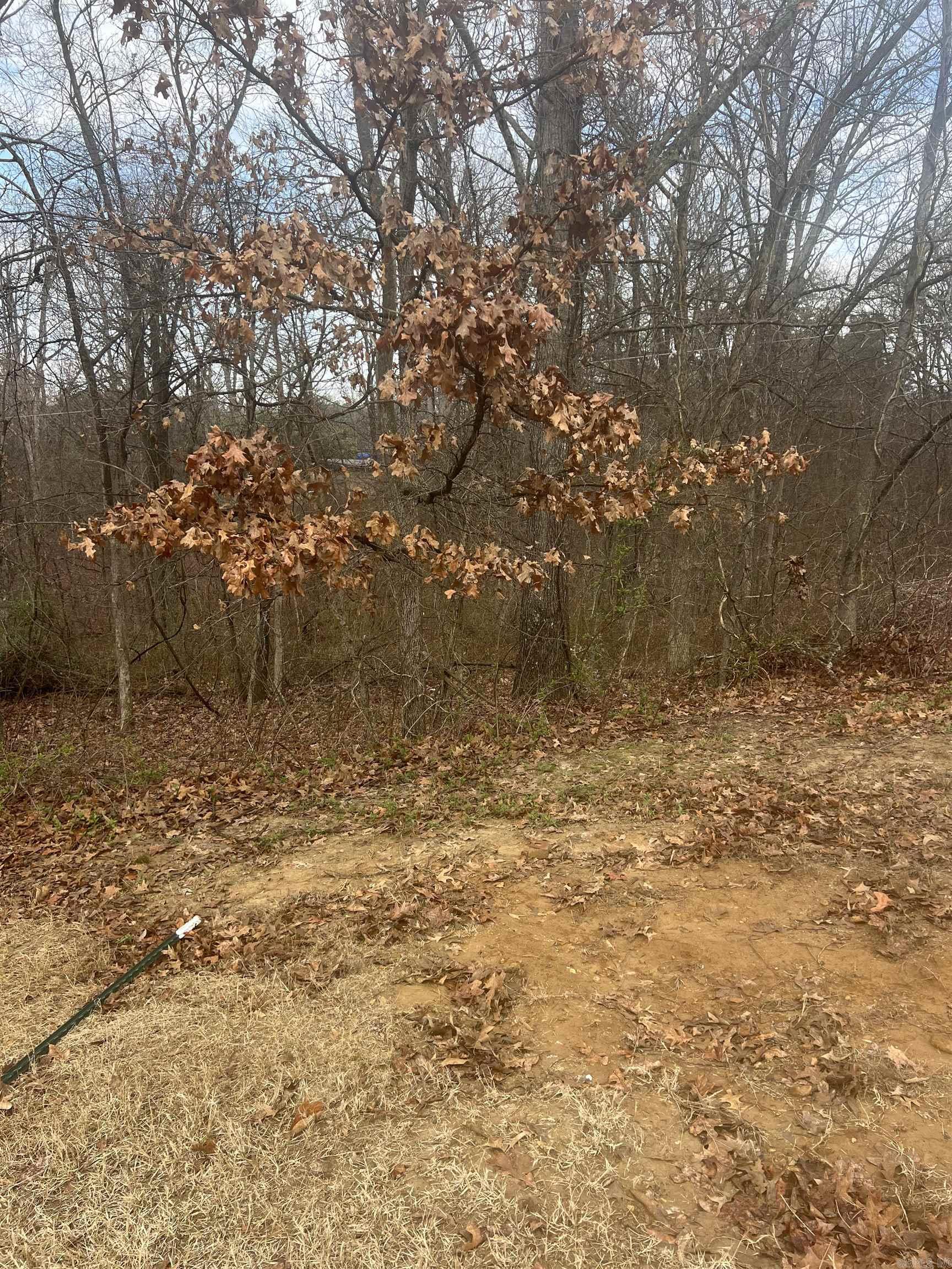  E Oak Cove  Forrest City, AR