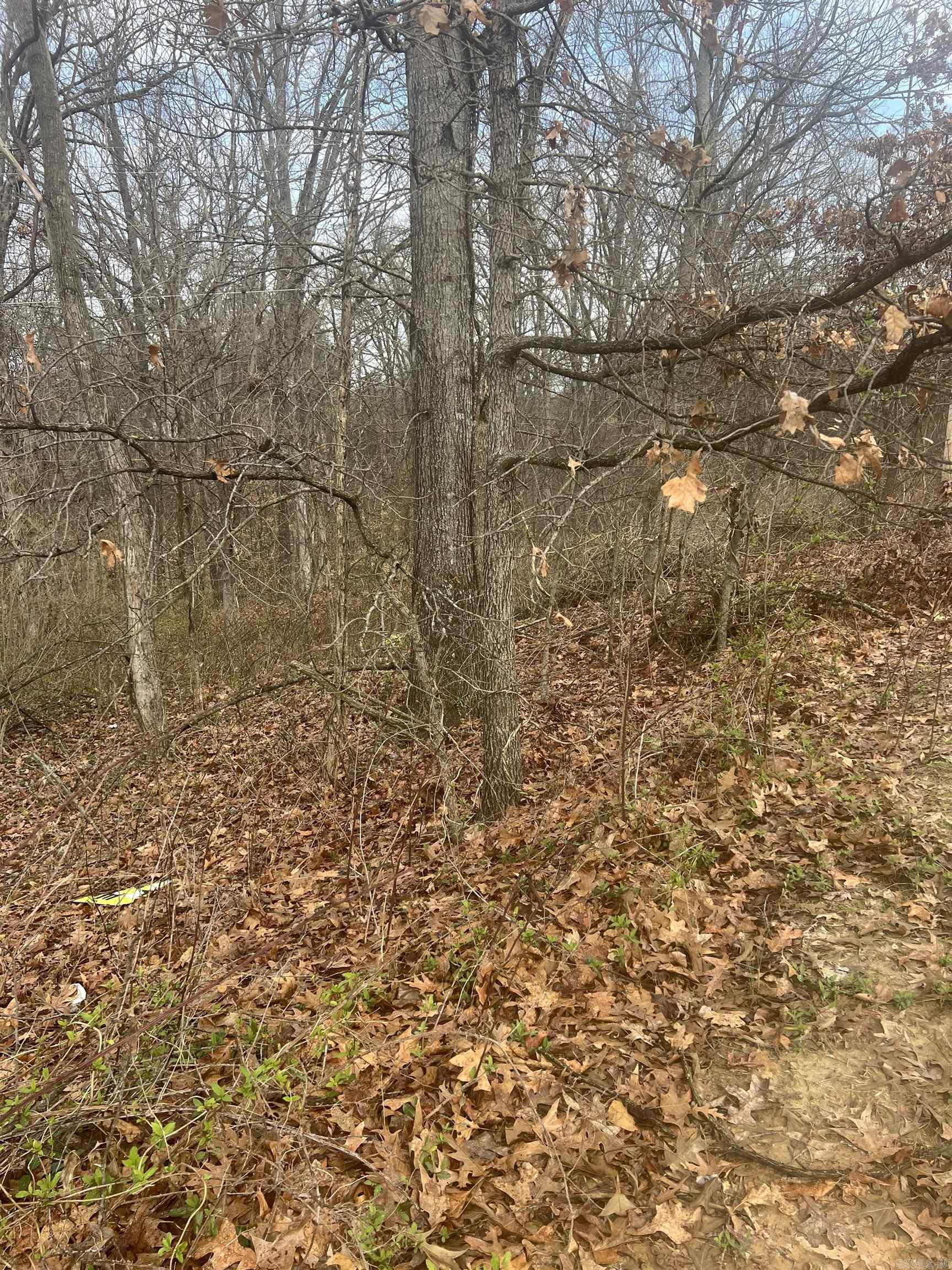  E Oak Cove  Forrest City, AR