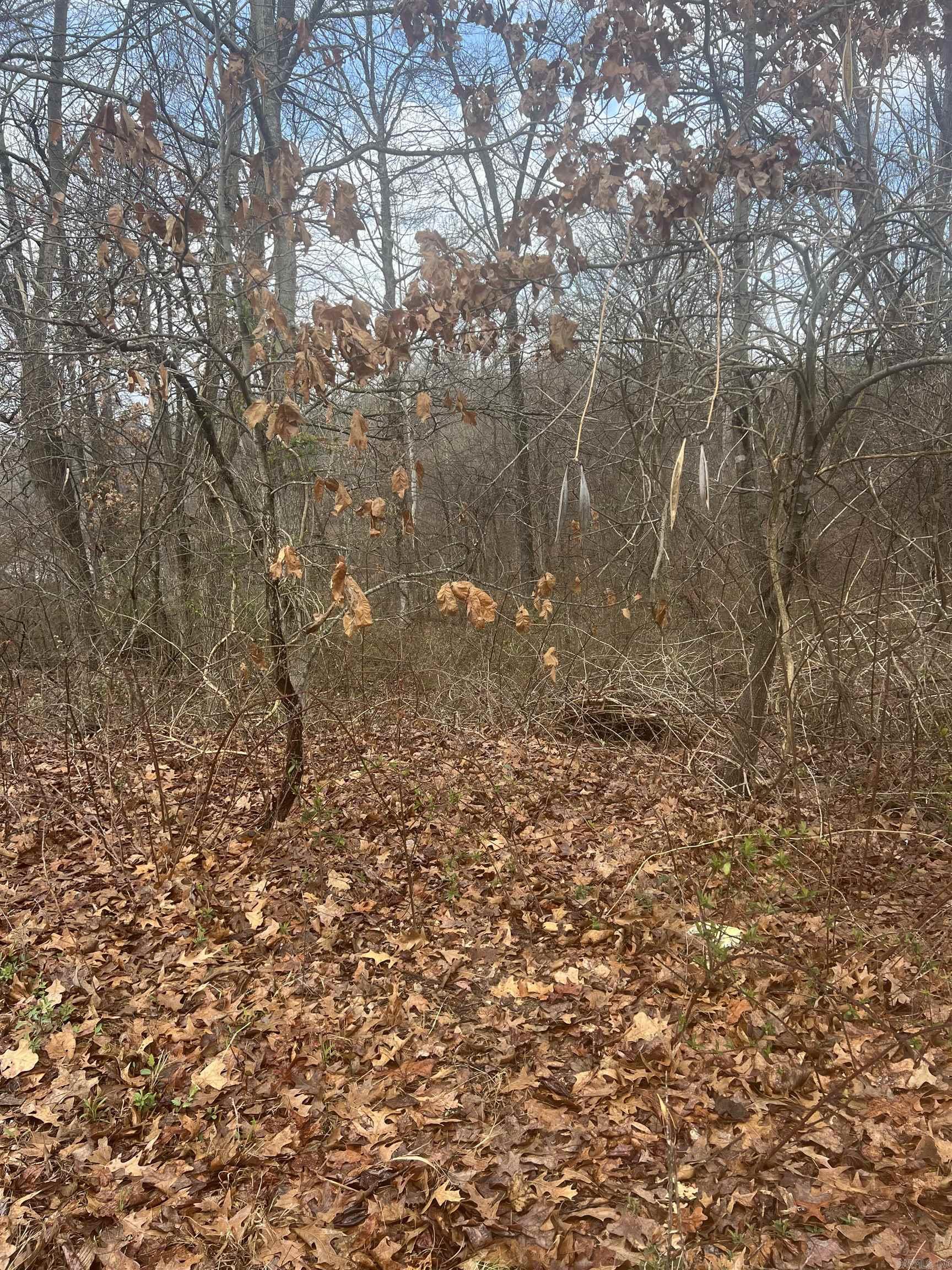  E Oak Cove  Forrest City, AR