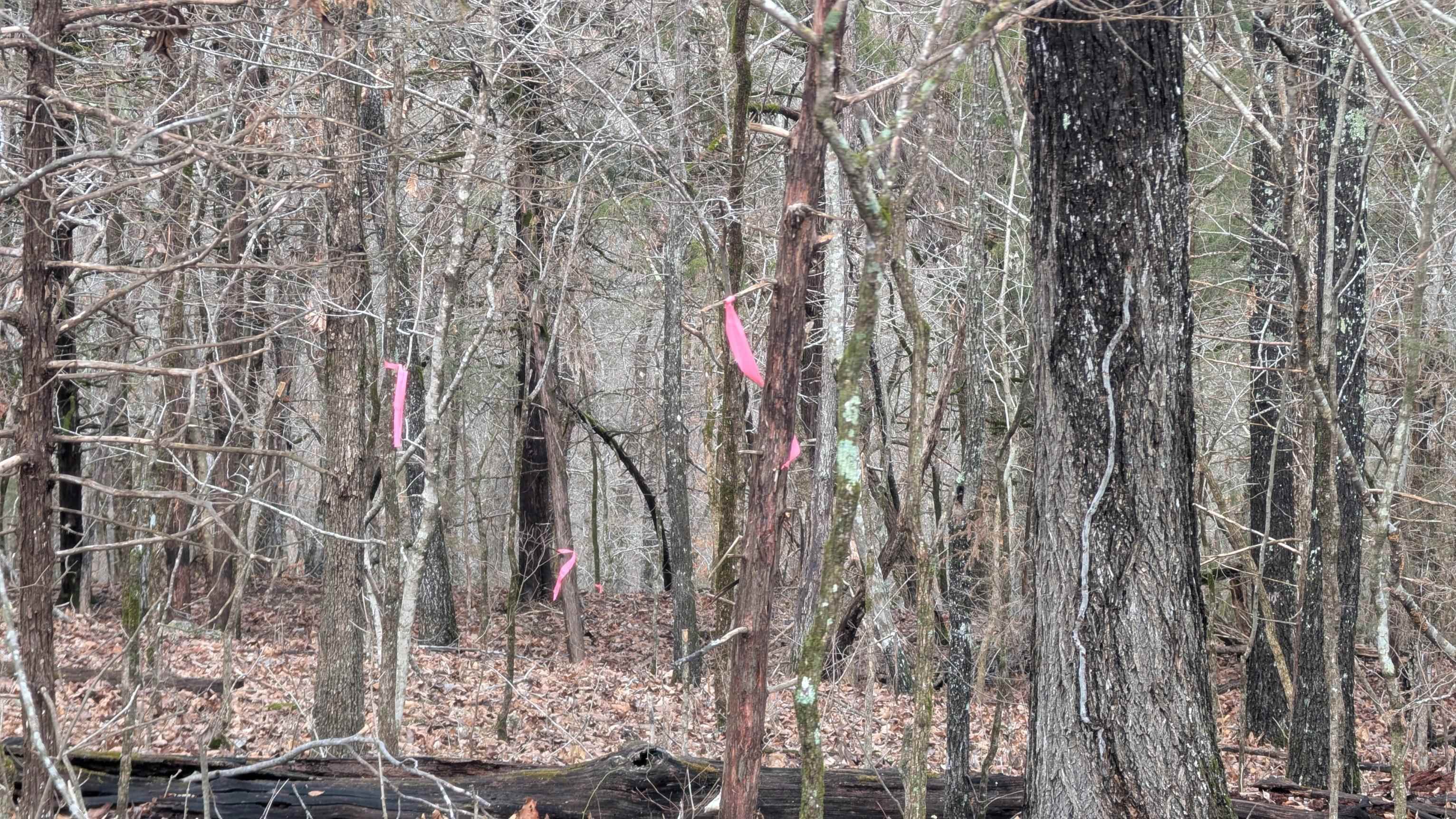  Tonto  Cherokee Village, AR